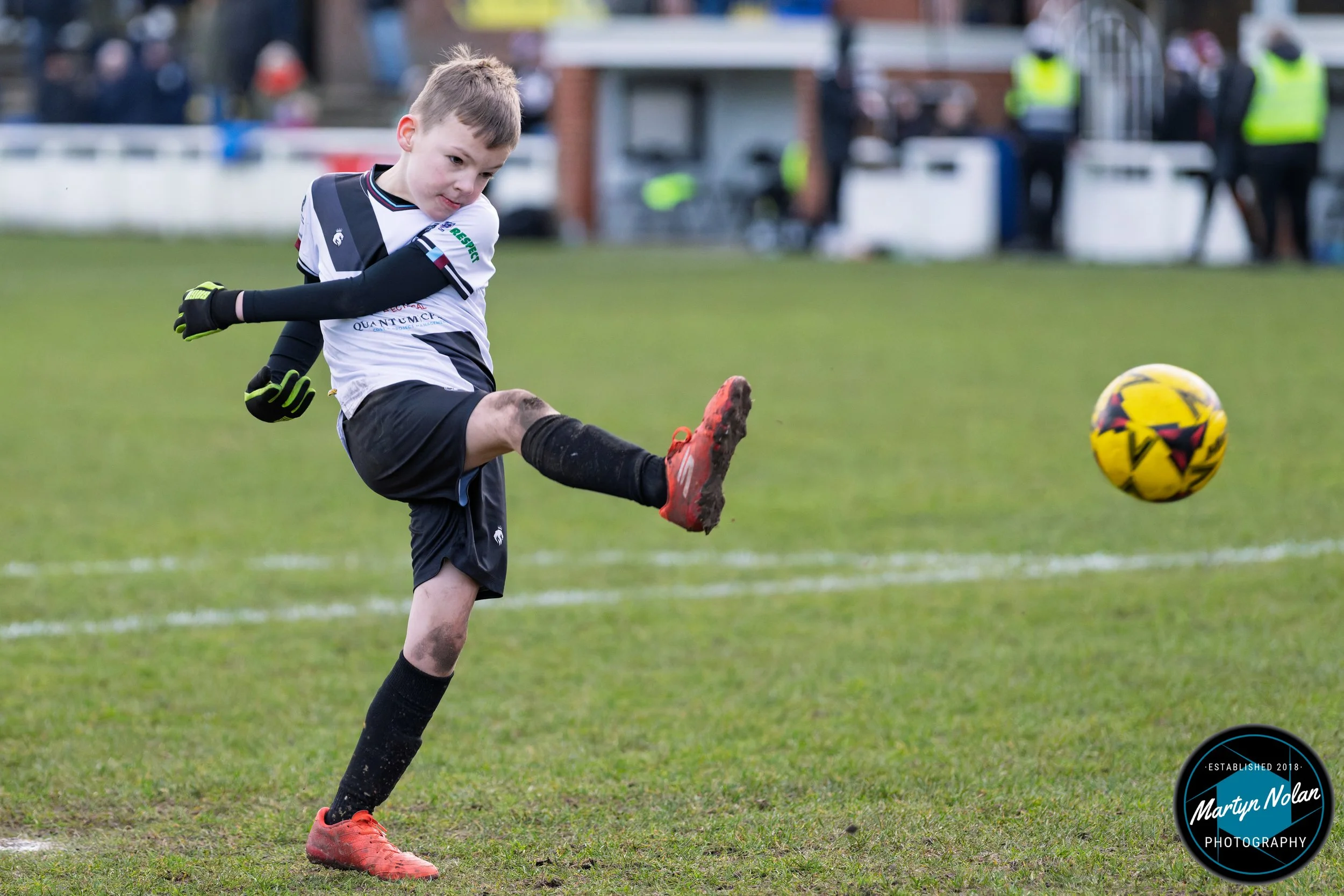 DSC_2808-DxO_DeepPRIME 3.jpg