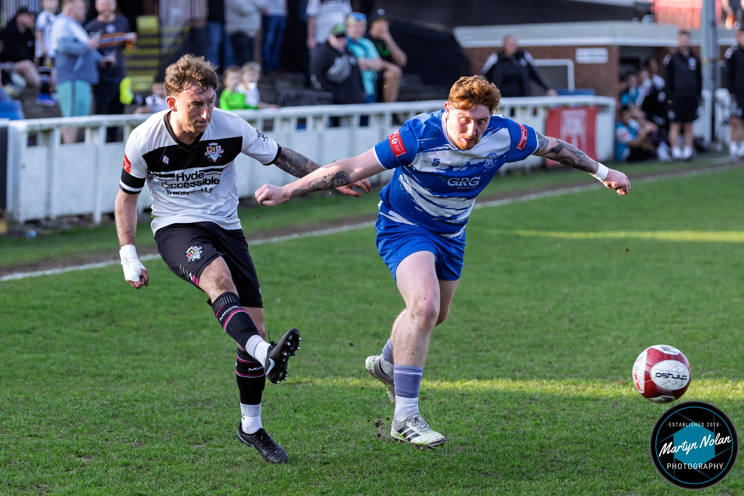 DSC_3146-DxO_DeepPRIME 3.jpg