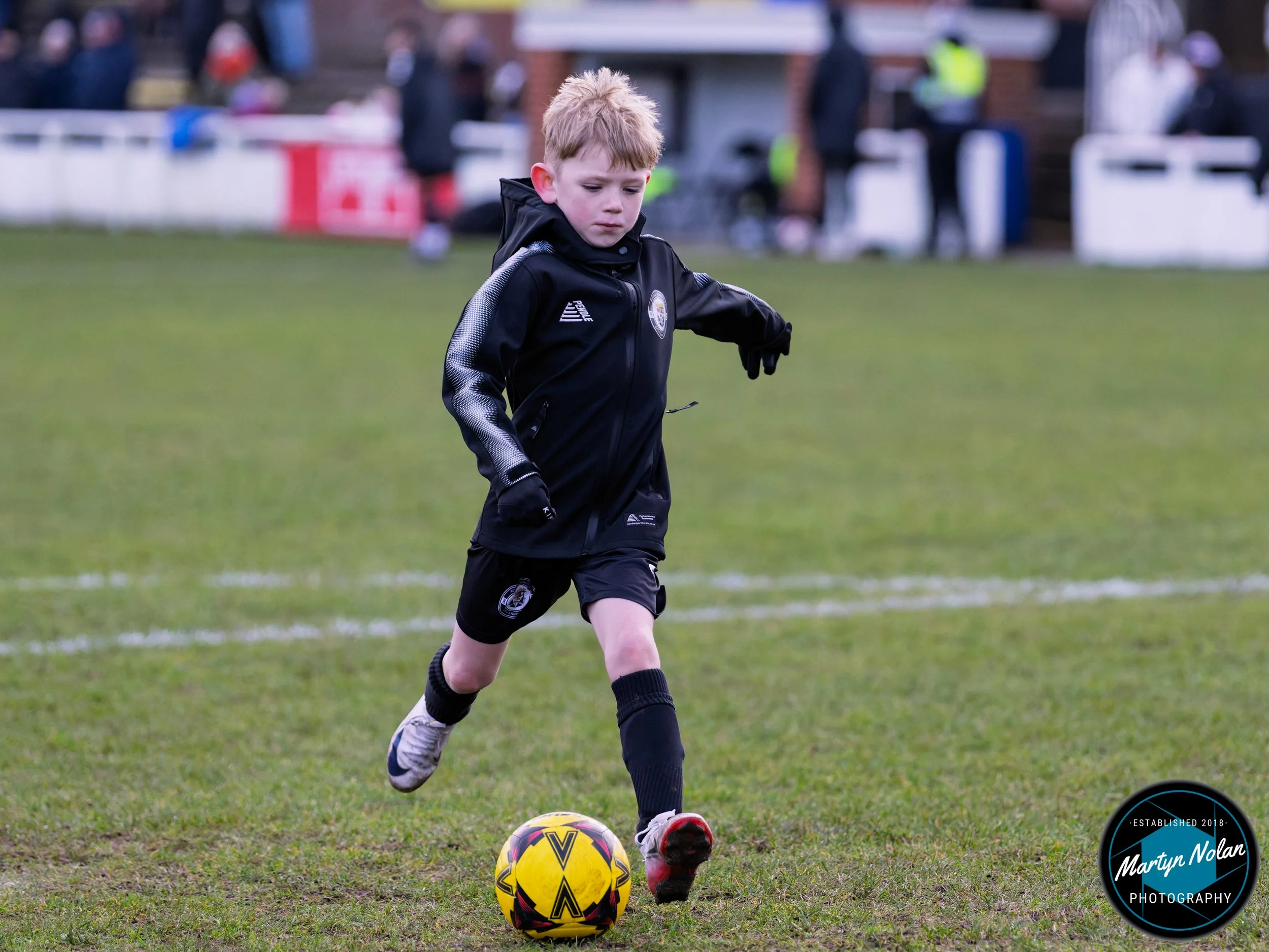 DSC_2646-DxO_DeepPRIME 3.jpg