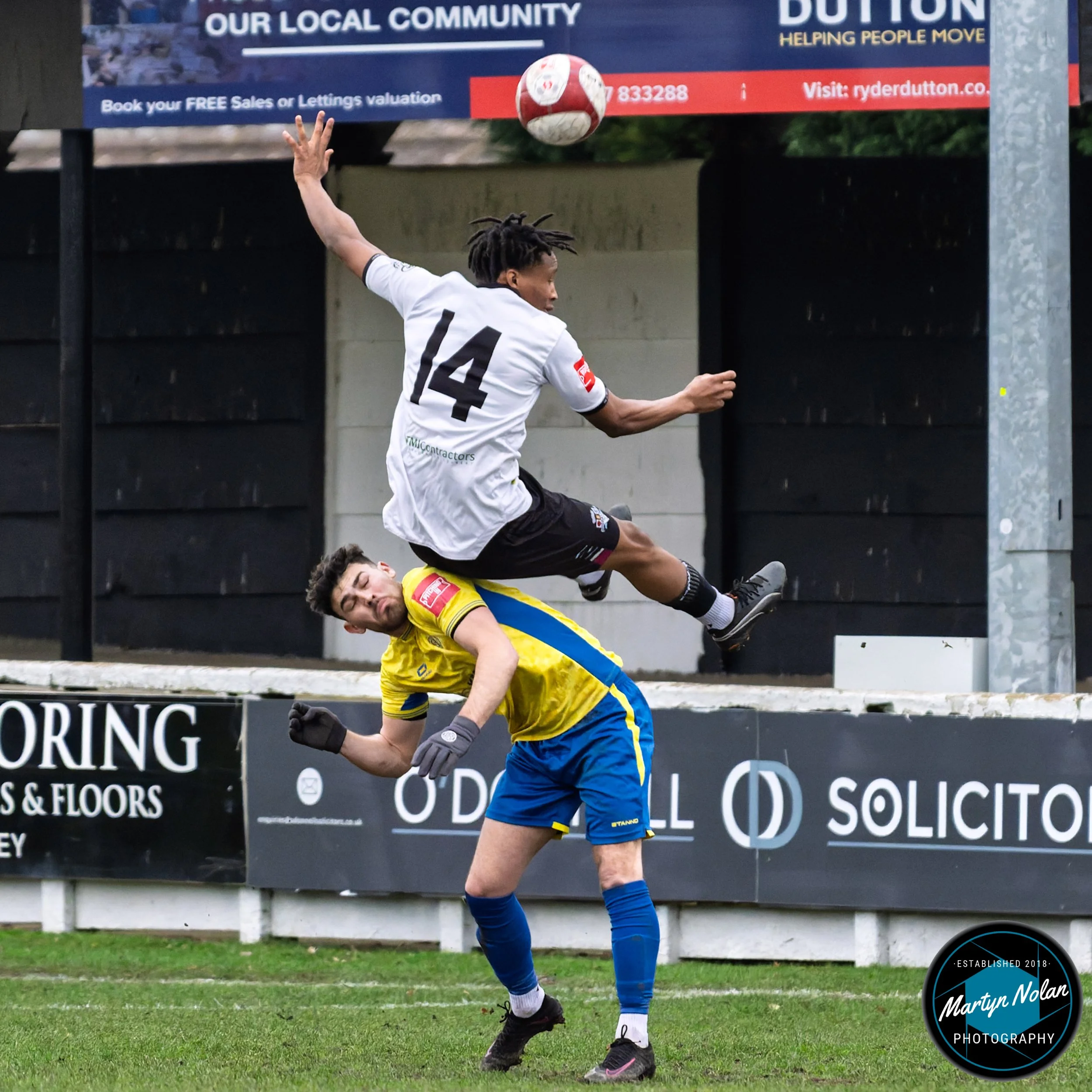 DSC_2616-DxO_DeepPRIME 3.jpg