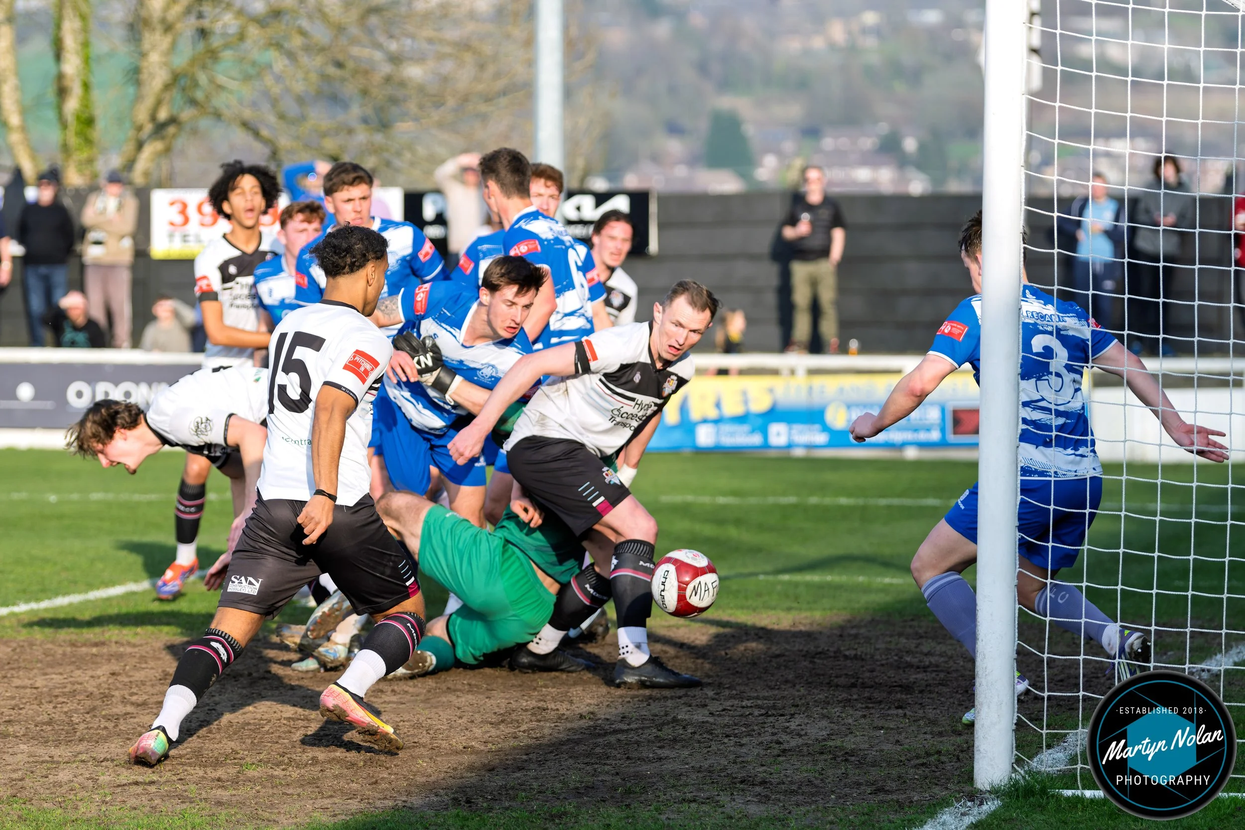 DSC_3611-DxO_DeepPRIME 3.jpg