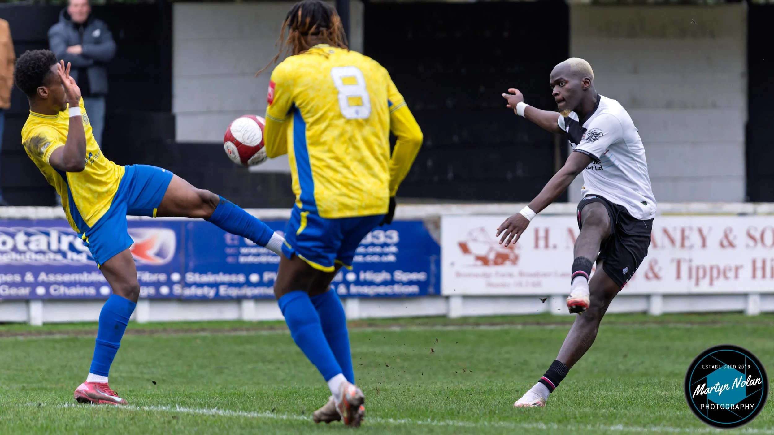 DSC_1781-DxO_DeepPRIME 3.jpg