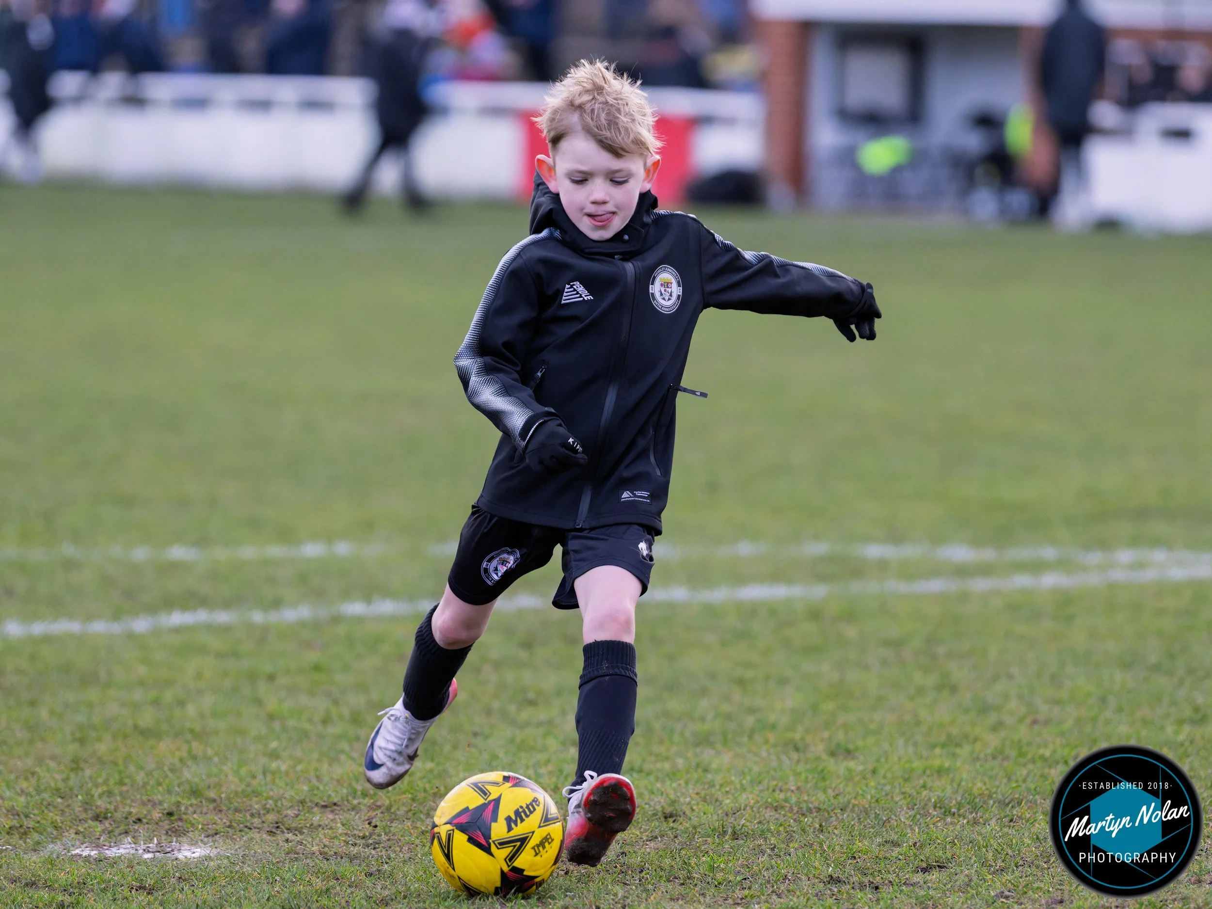 DSC_1337-DxO_DeepPRIME 3.jpg