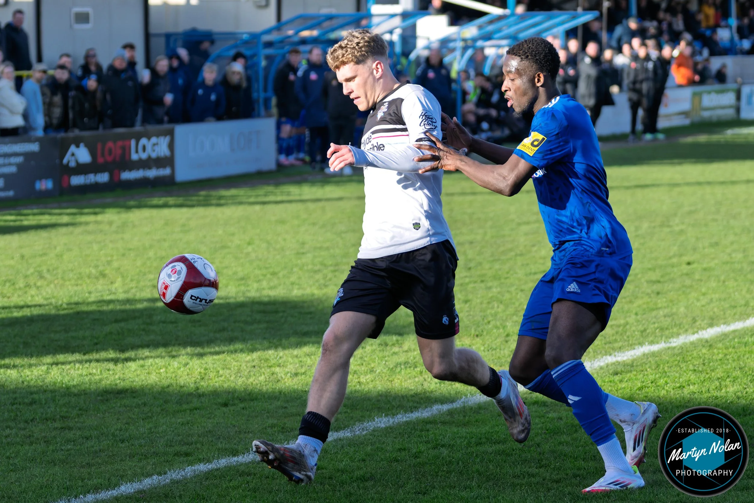 DSC_1151-DxO_DeepPRIME 3.jpg