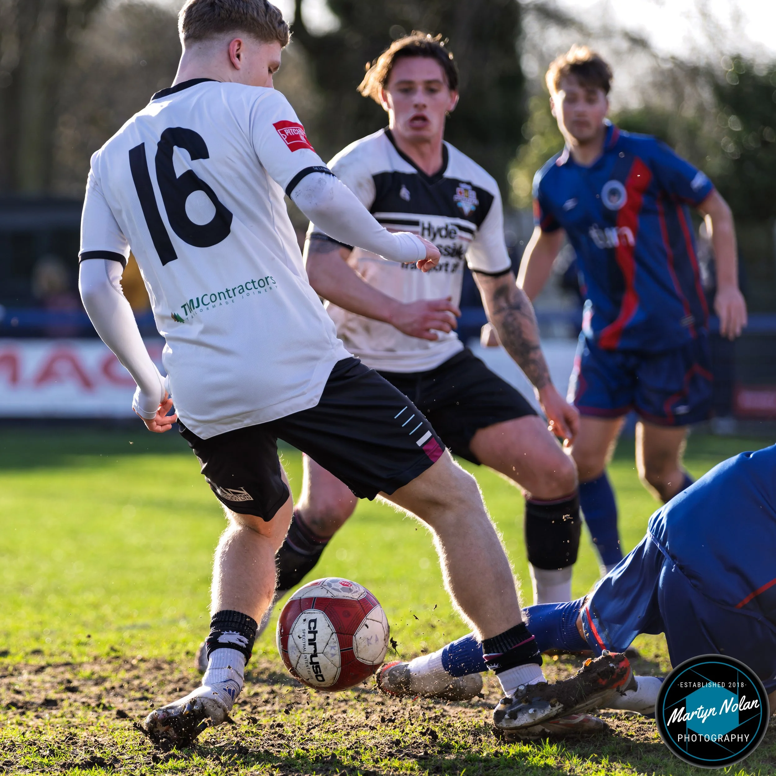 DSC_1746-DxO_DeepPRIME 3.jpg