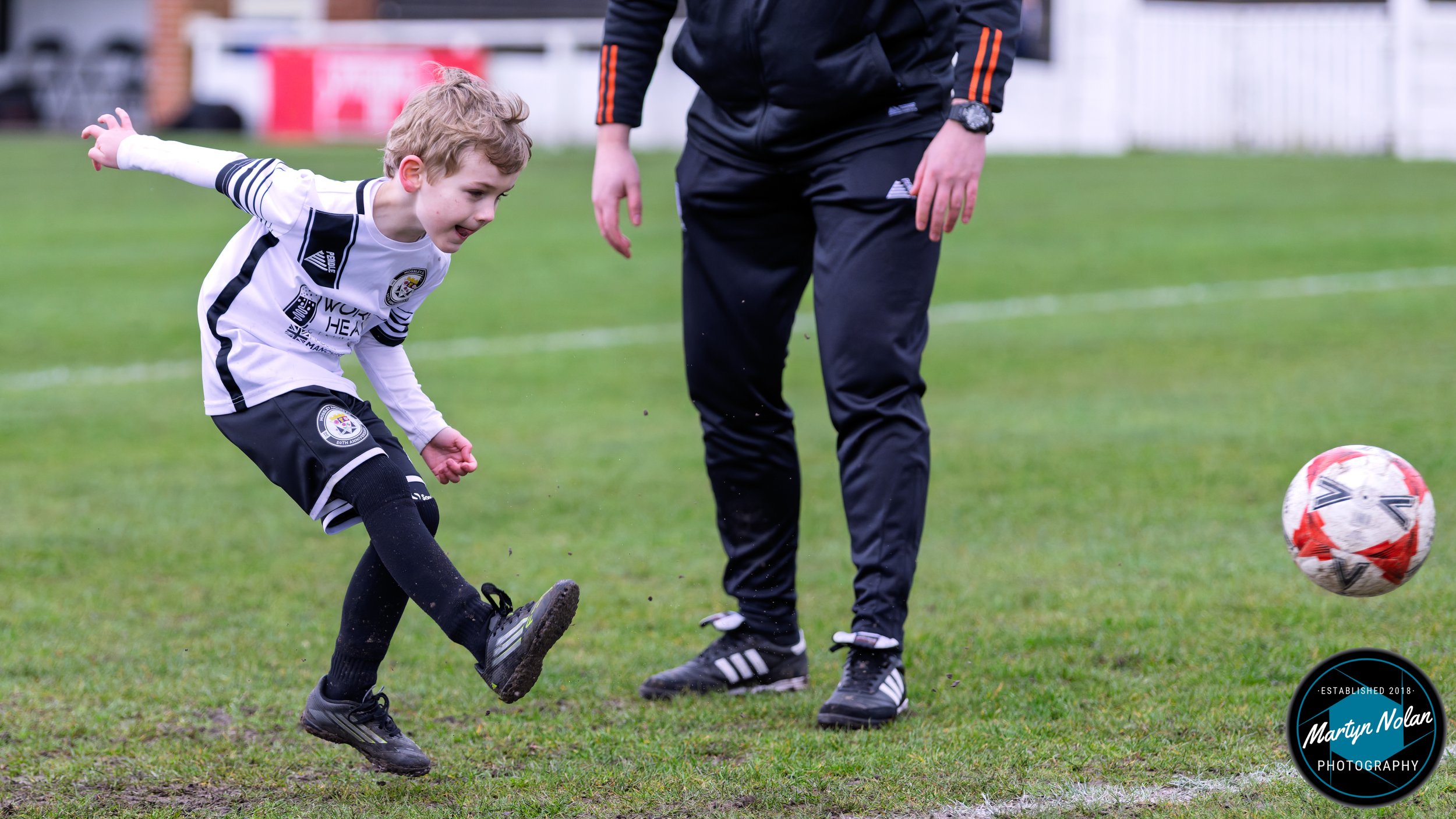 DSC_2175-DxO_DeepPRIME 3.jpg