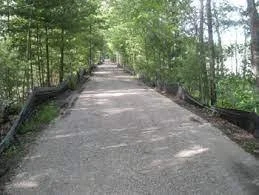 So… Why Am I Doing This? (Otherwise known as “The Mission Statement”)