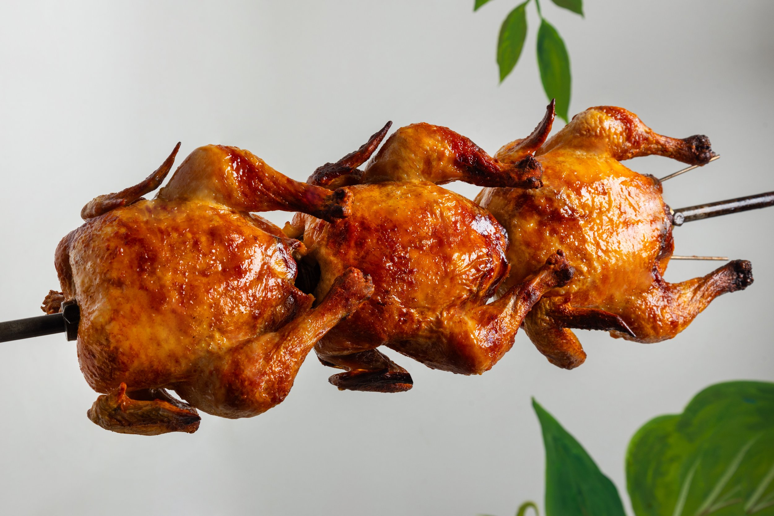NOMP7699l.jpg