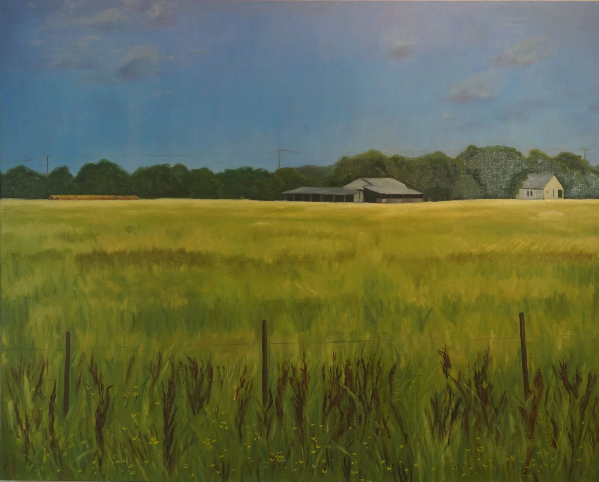 Last Farm on Hunter Road, 2019