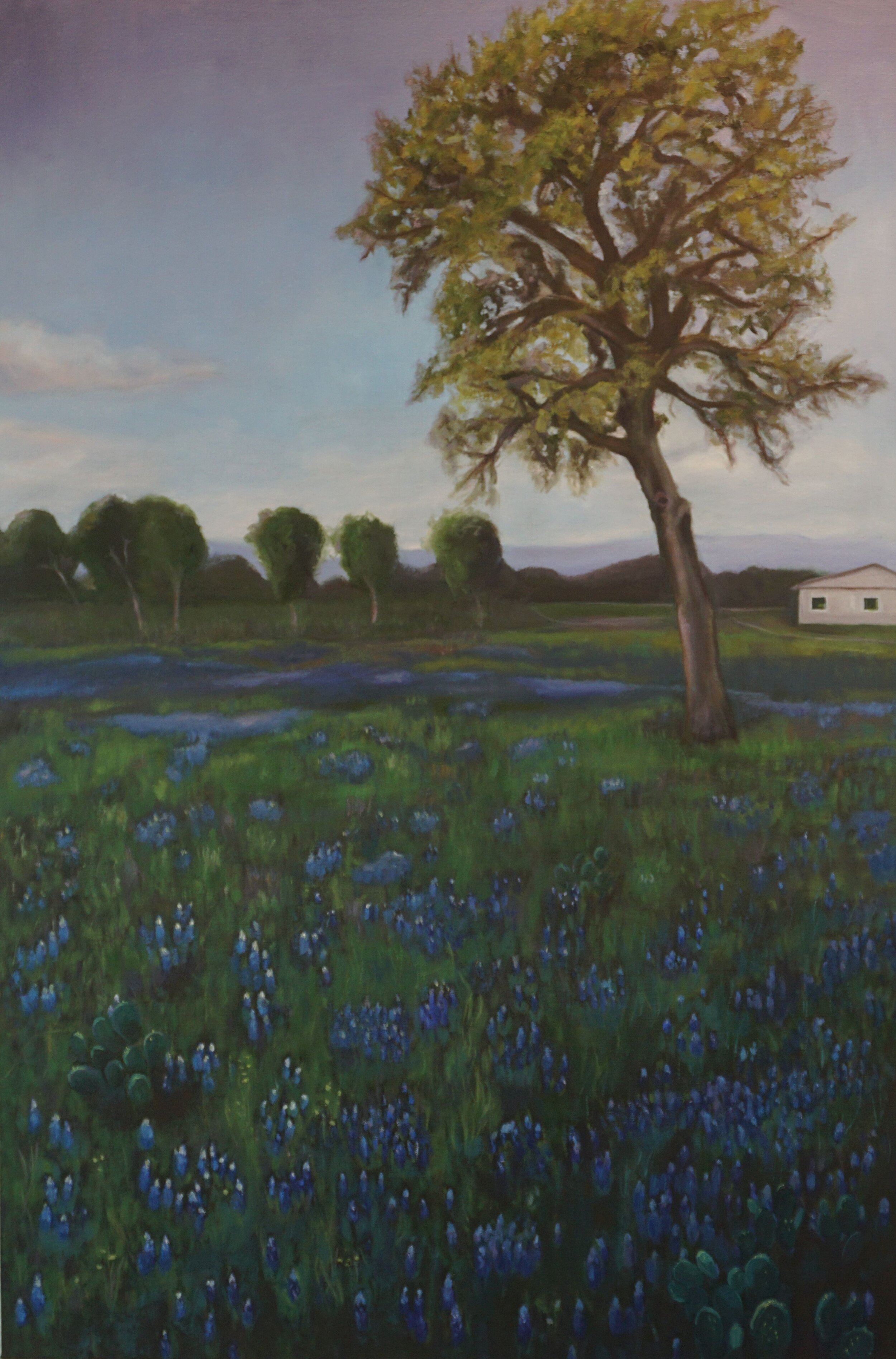 Bluebonnettree - Copy.jpg
