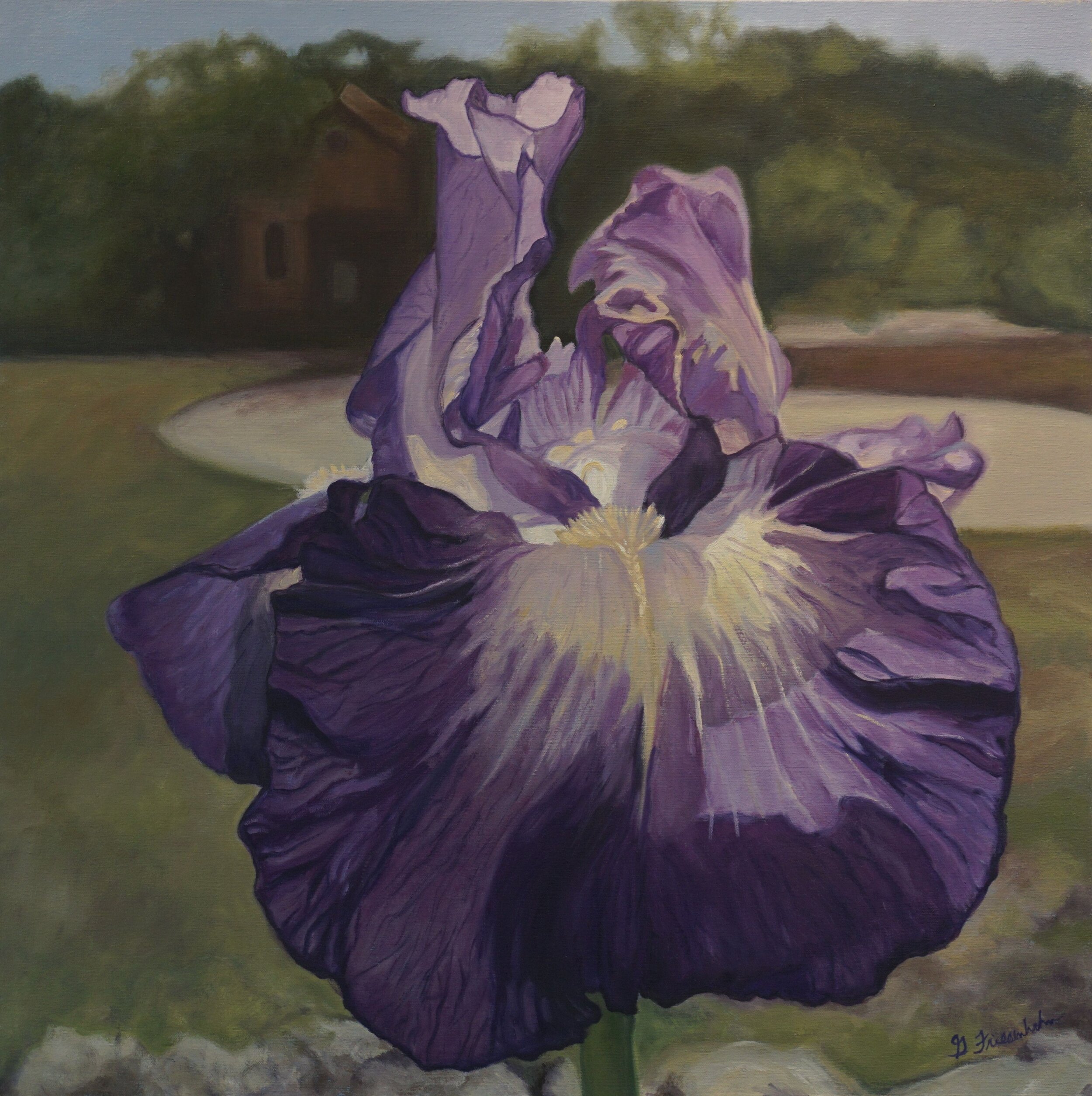 PurpleIris - Copy.jpg