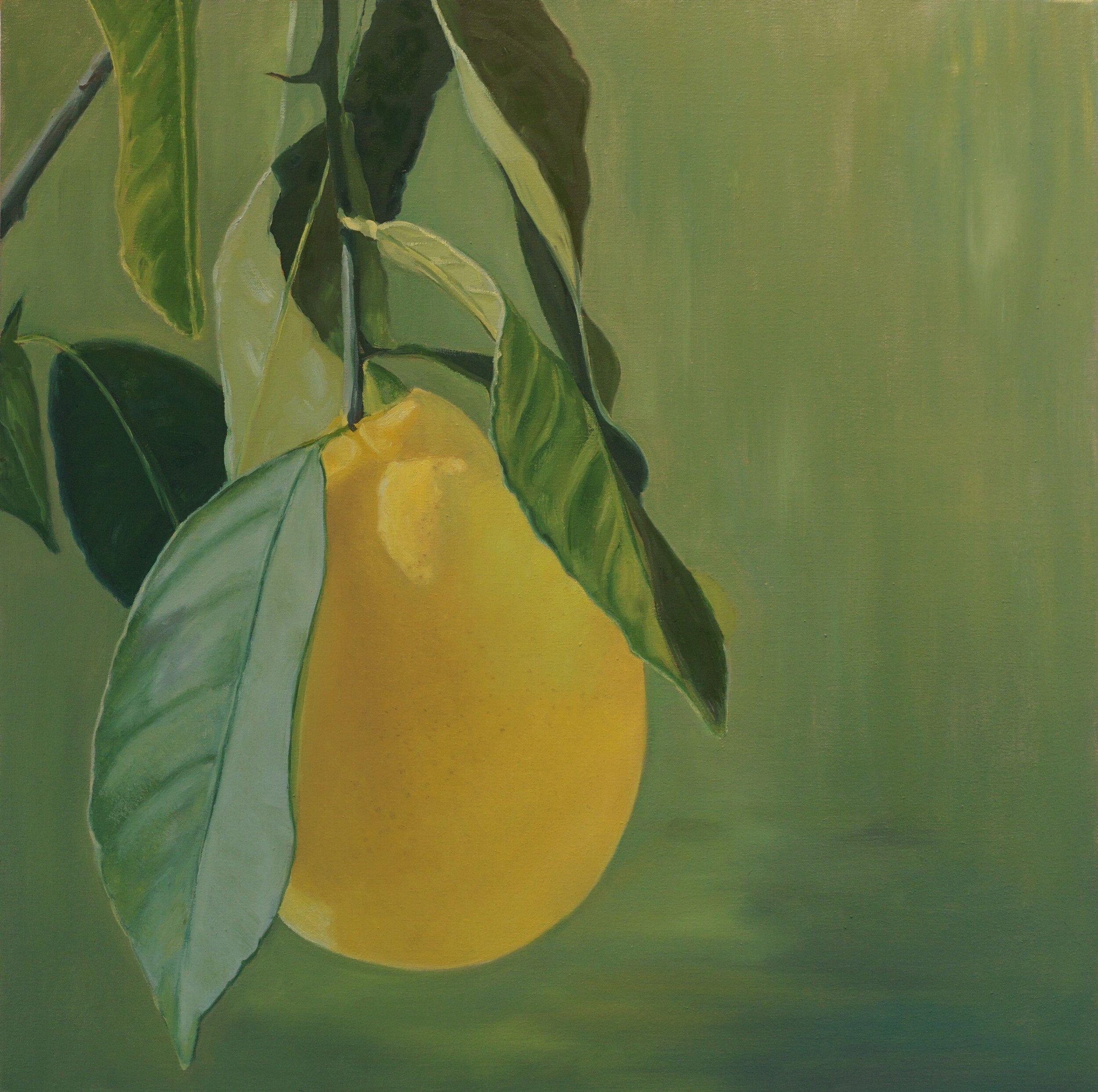 Lemon - Copy.jpg