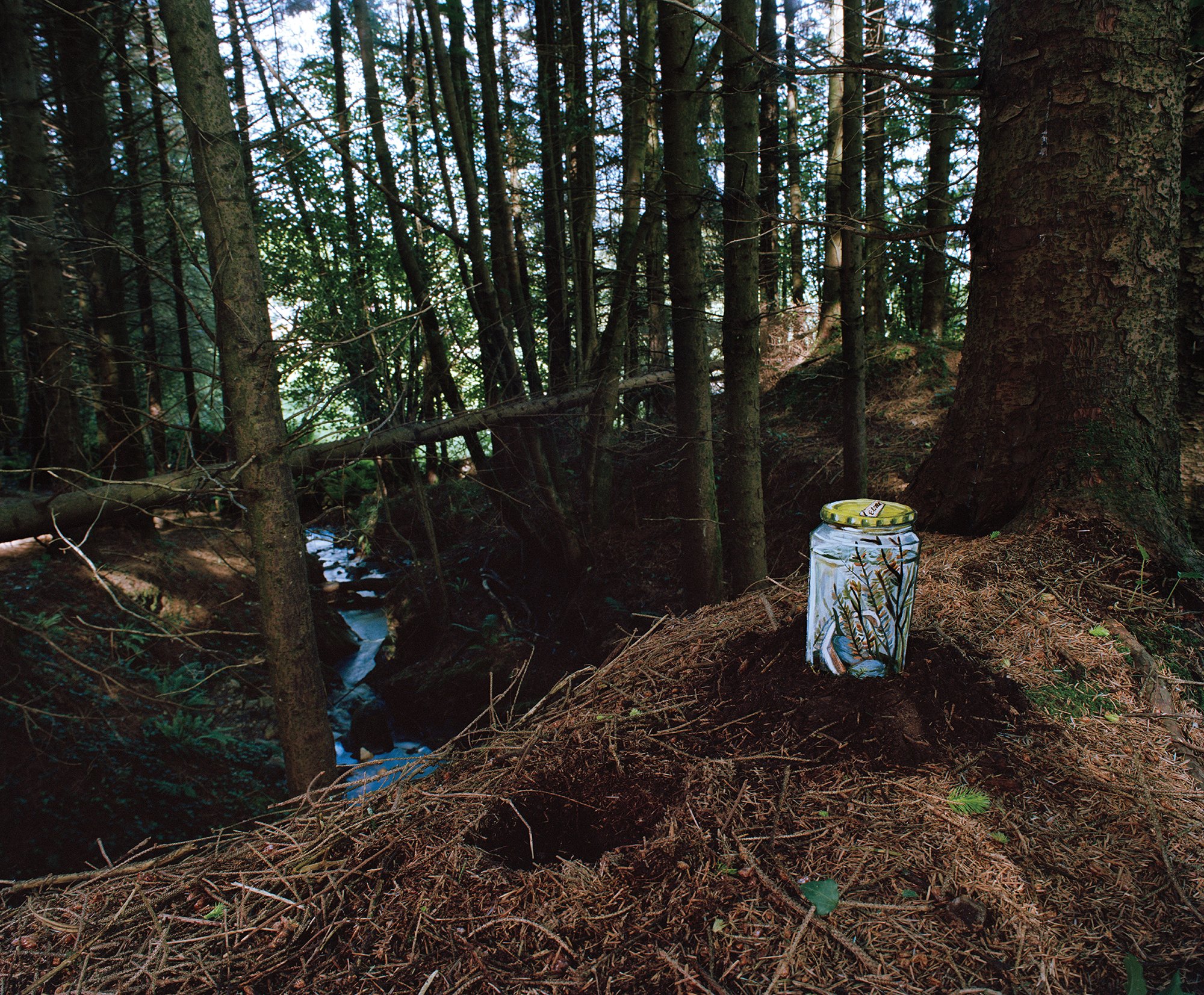 A Portion of the Lake (Glass Jar)