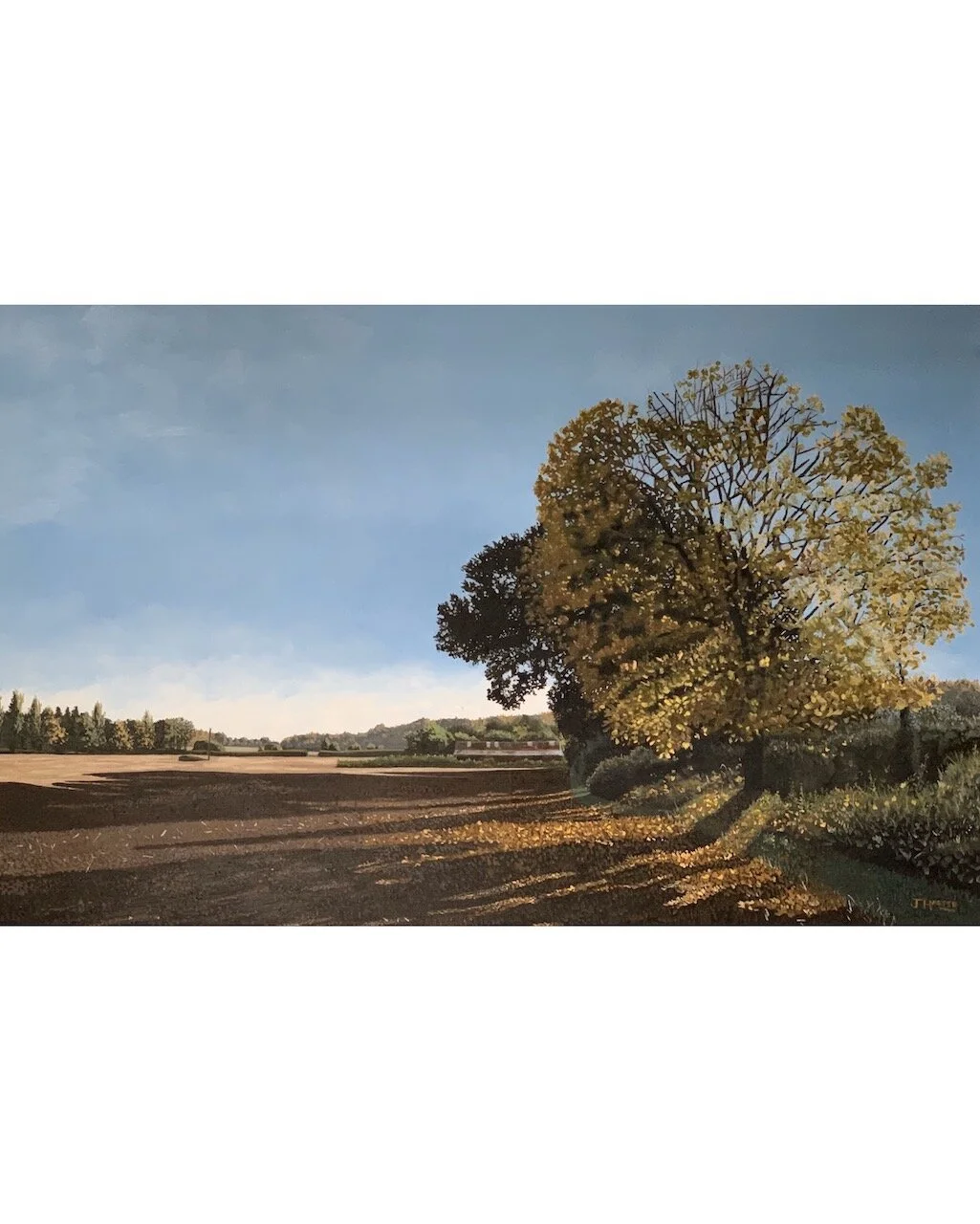 Autumn Fall - Oil on Canvas - 140cm x 90cm 
