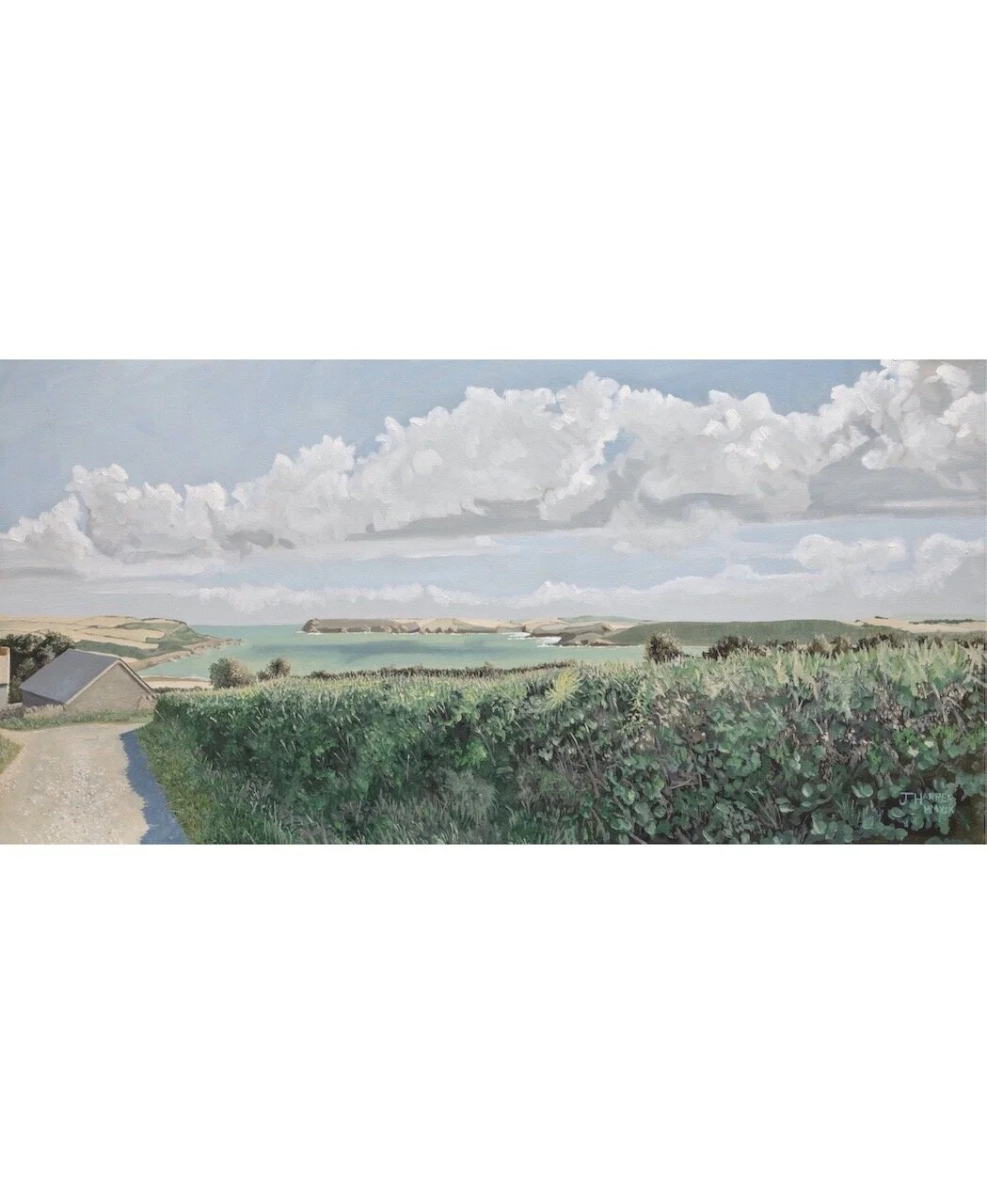 Tip Toes - Oil on Canvas - 100cm x 50cm 