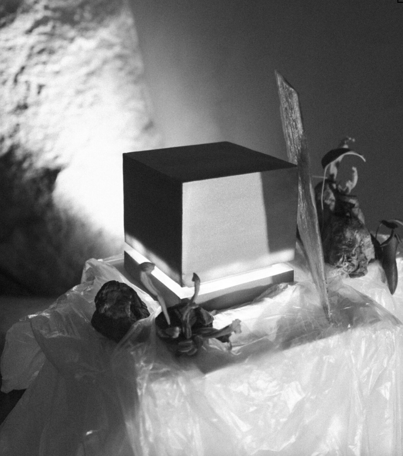 A Modern, Design-Infused Wedding in Alentejo Portugal