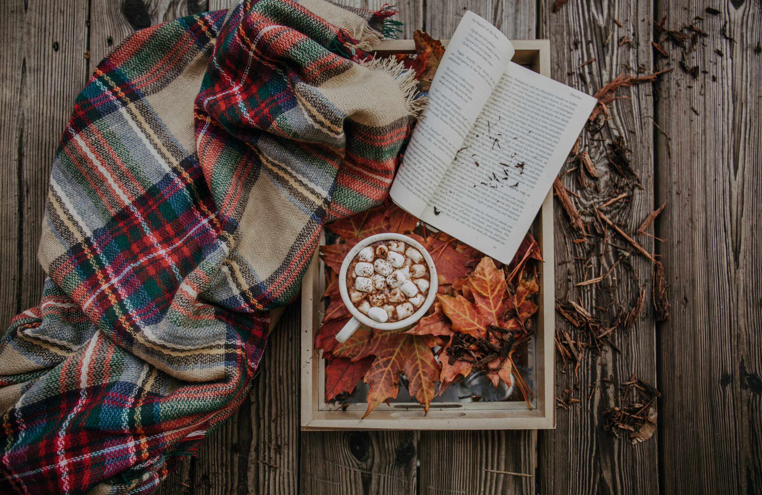 Creating a Space for Grief as the Seasons Change