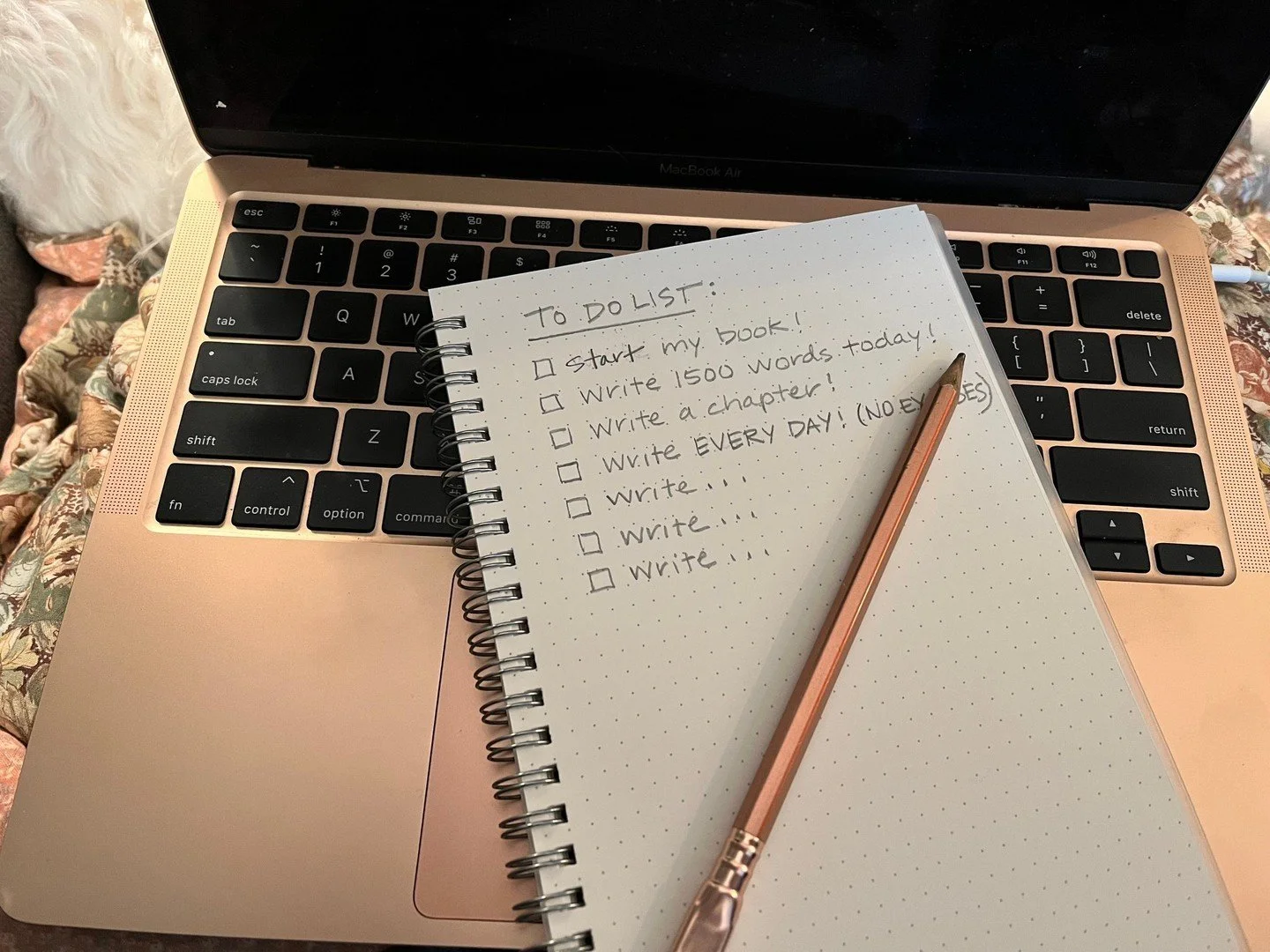 Do you have a writing to-do list like this one? I've worked with hundreds of writers who have had lists like this, and I can tell you that a productivity mindset won't help your writer to finish that book, but a self-compassionate mindset will.⁠
⁠
I 