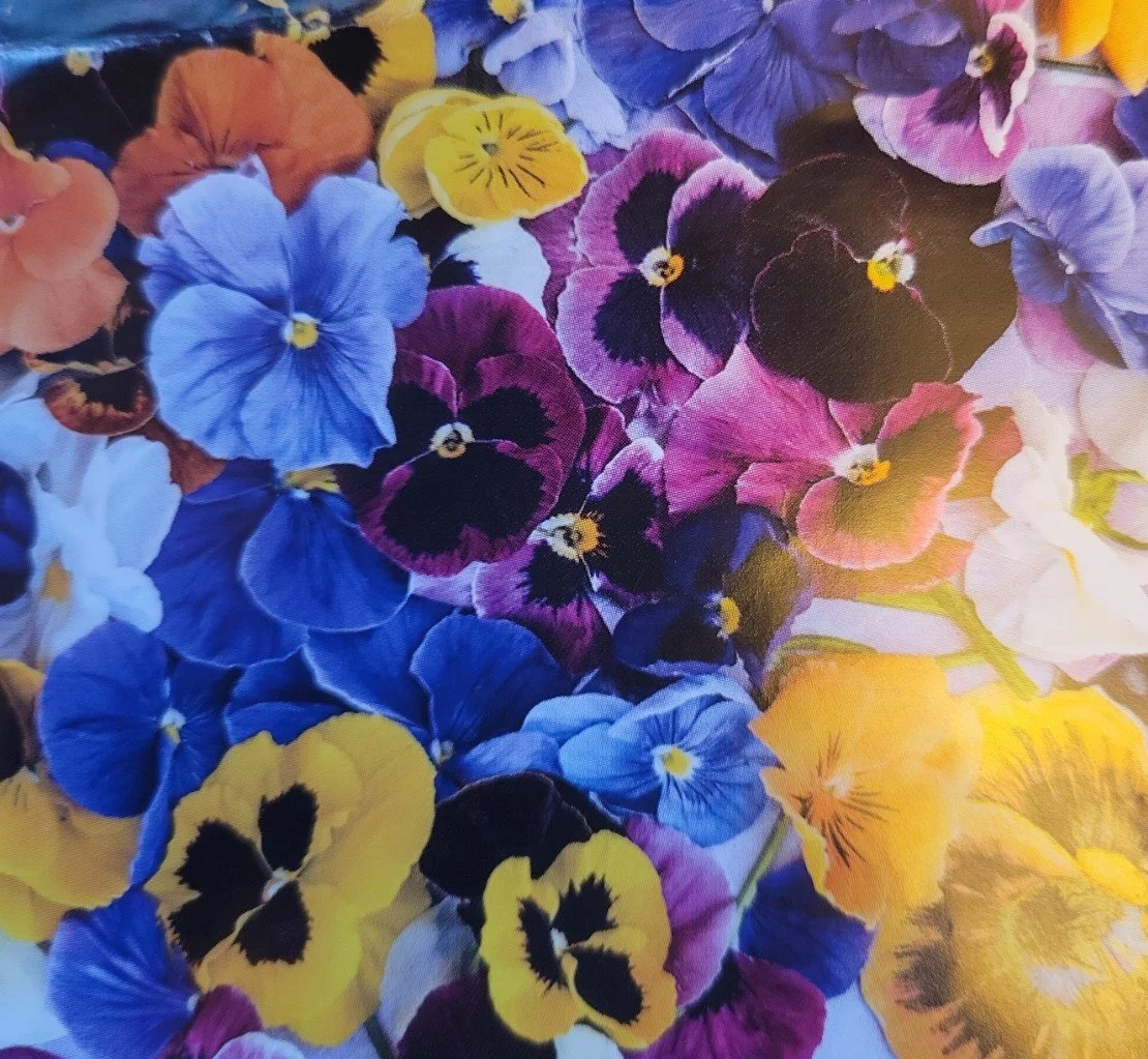 flower seedling — Nom Nom Gardens