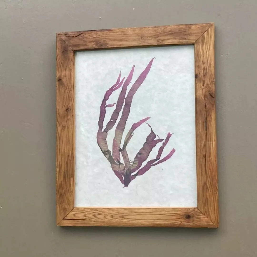 Our showroom in Dunbridge,  Hampshire is open all weekend.
Get in touch if you would like to visit. 

#stockbridge #rusticdecor #seaweed #coastaldecor #countryhouse #beachhouse #home #house #reclaimed #art #wasabi #boho #driftwood #shoplocal #british