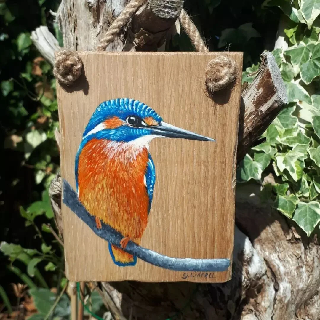 My friend @gina.linnell.art has got some new paintings on my website, these make lovely unique gifts and are all painted on Reclaimed timber.

#wildlifeart #britishbirdsofinstagram #gardenbirds #artonwood #gifts #presents #reclaimedwoodengifts #acryl