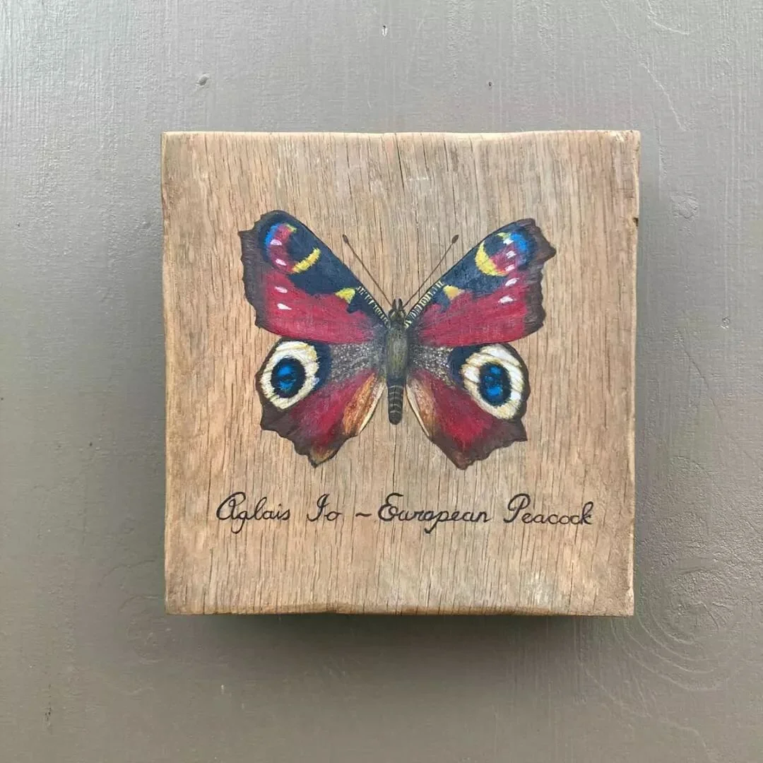 Most of my friend @gina.linnell.art amazing artwork is on both my websites now, this handpainted Butterfly is one of a set available, they will make a gorgeous gift for someone and are totally unique.

All Gina's work is available to view in our show
