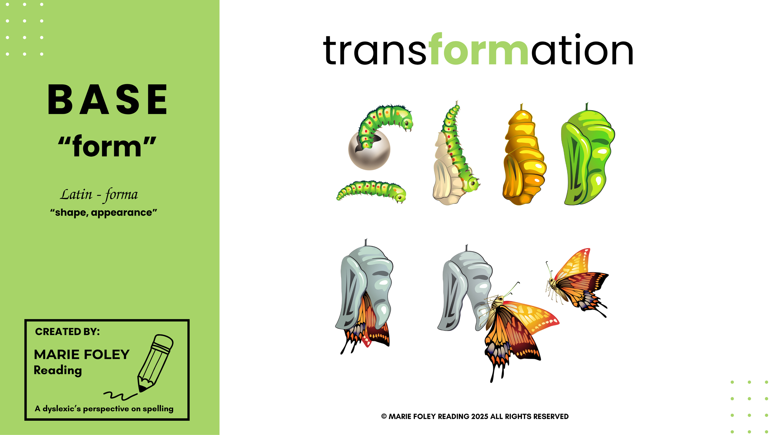 Copy of conserve, observe  thumbnail.png