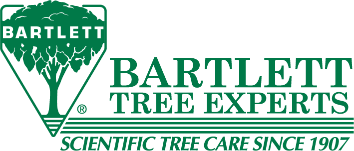 BartlettTree.png