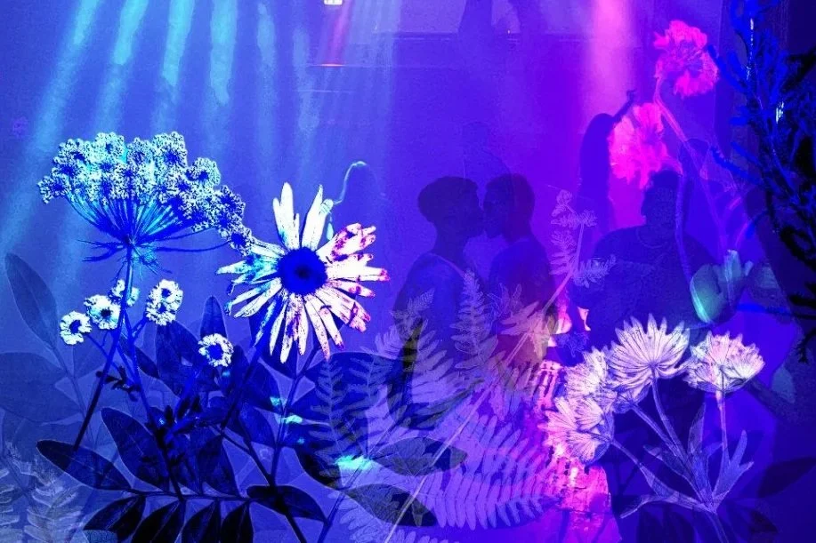 A Party of Pansies: A Roger Martin Travel Prize Exhibition