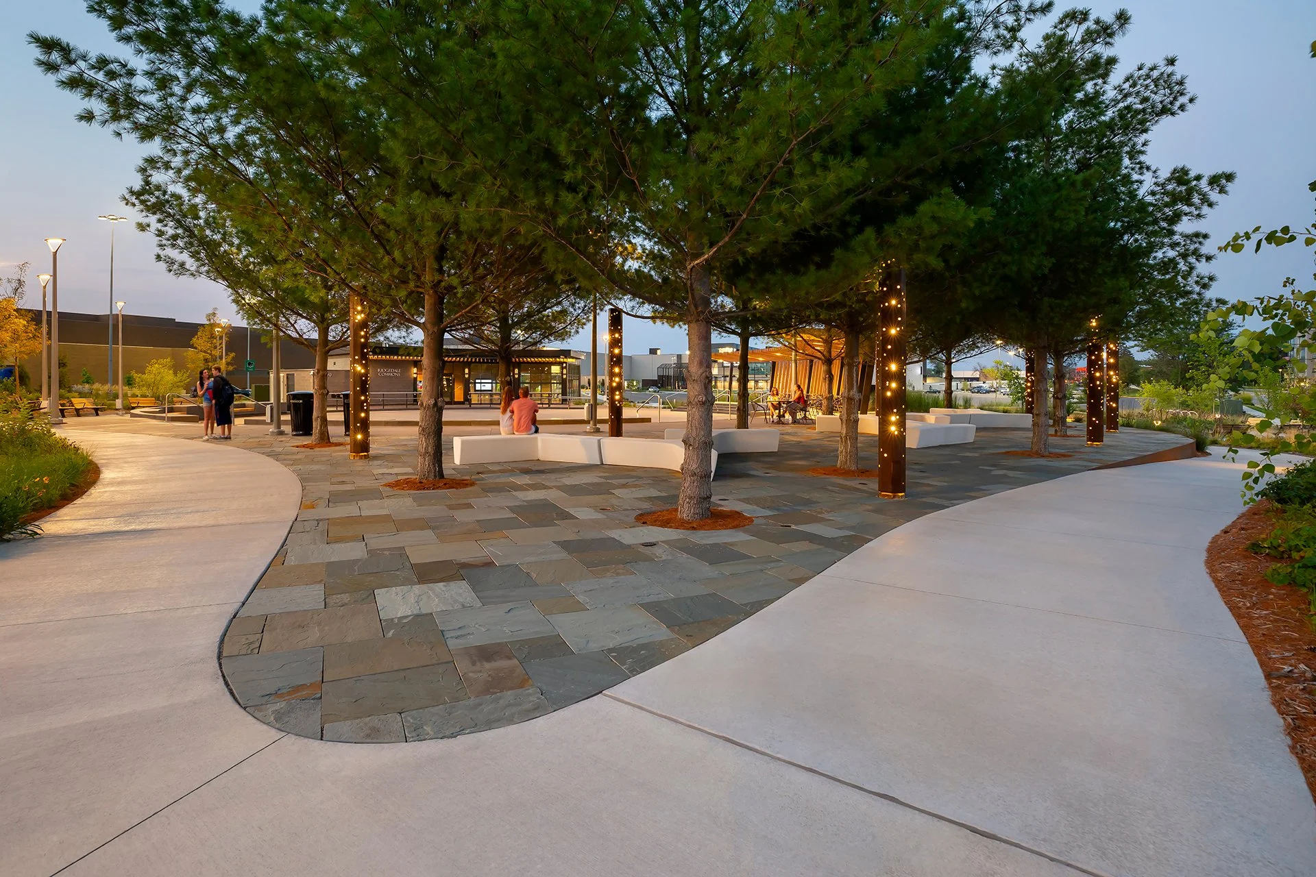 General Design_Ridgedale Commons_IMG_IN_Forest Lounge.jpg