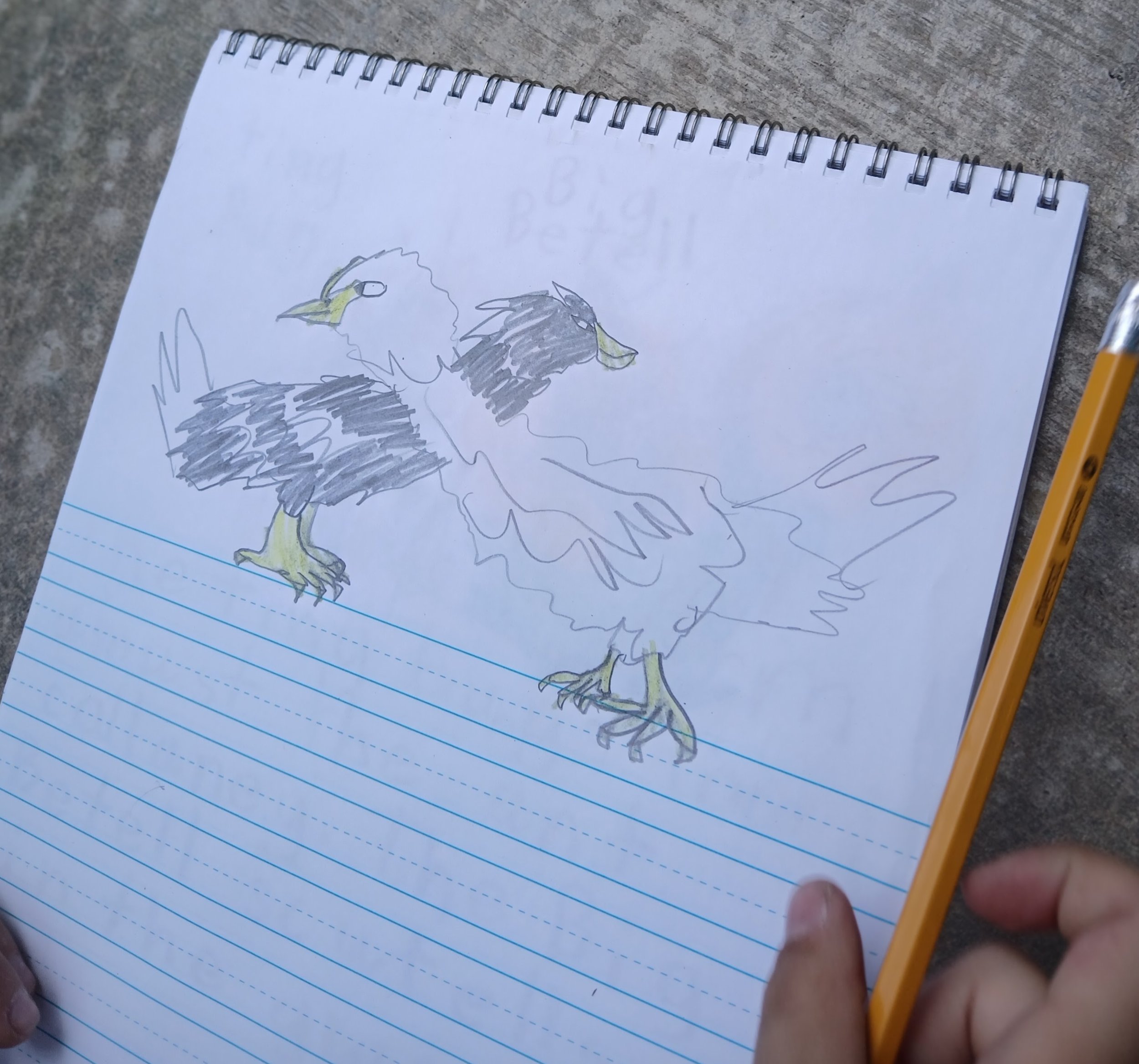 Small Budget - Big Impact_SewardMontessoriSchoolOutdoorClassroom_IMG_HR_Kid Drawing.jpg