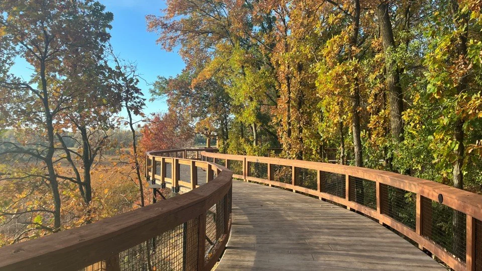 General Design_Mississippi Gateway Regional Park_IMG_IN_Treetop Trail.jpg