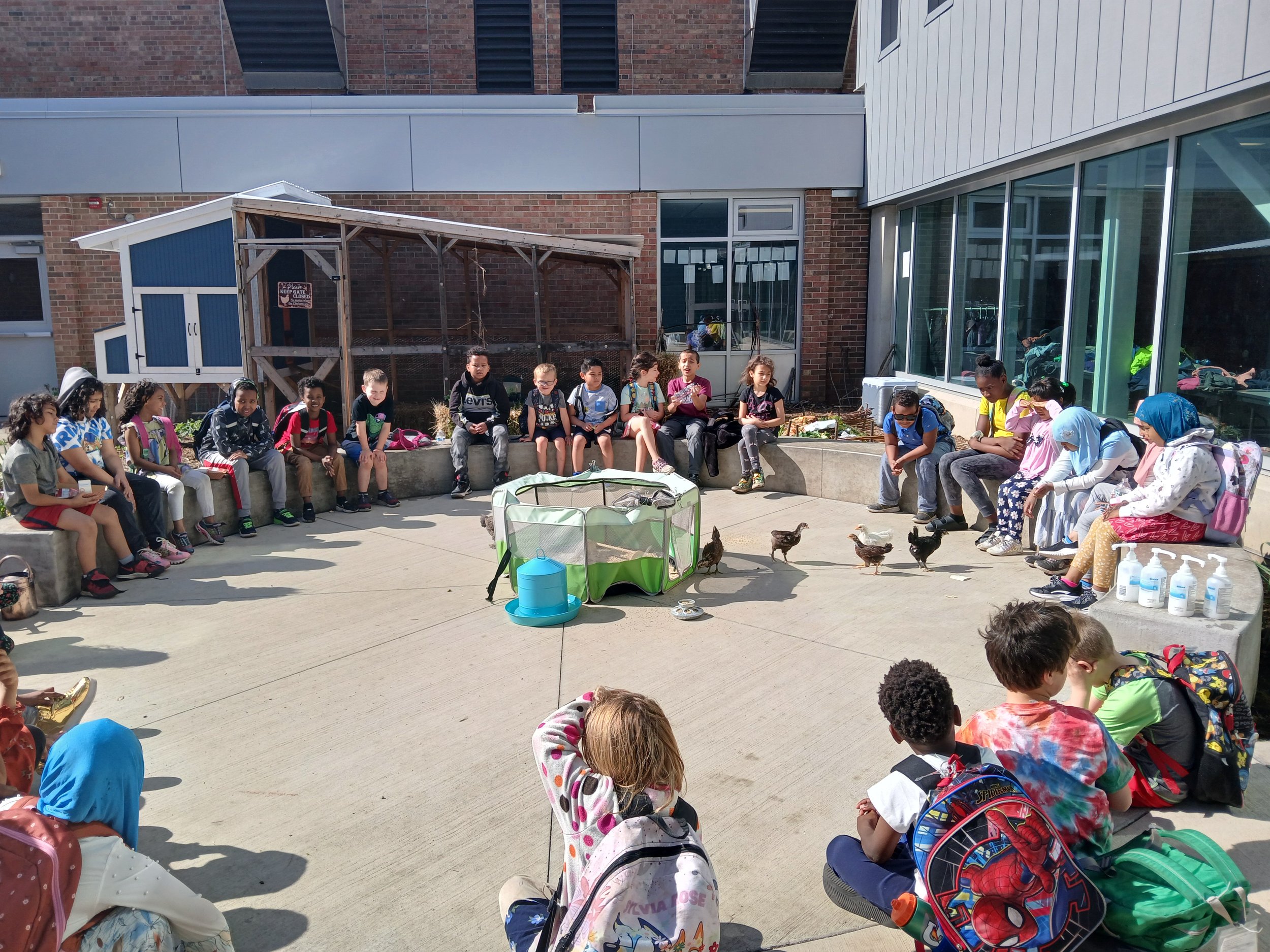 Small Budget - Big Impact_SewardMontessoriSchoolOutdoorClassroom_IMG_HR_Kids+Chickens.jpg