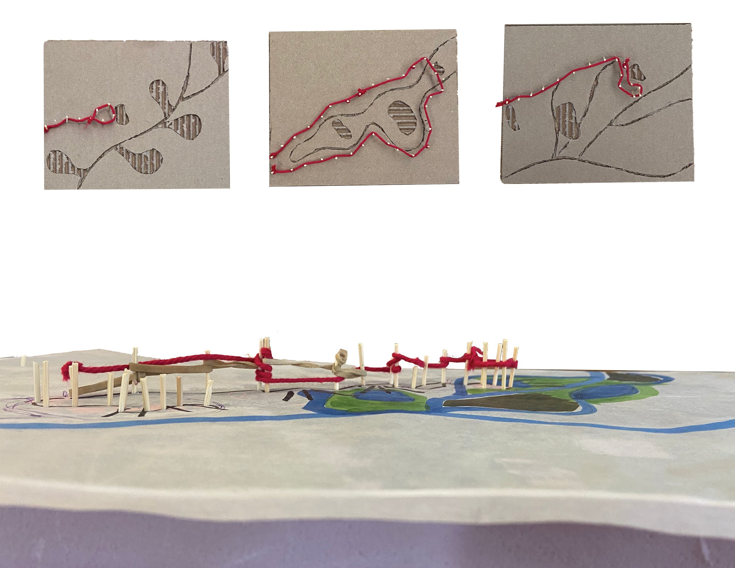 Student Award_Consequential Habitat_IMG_PR_Model.jpg