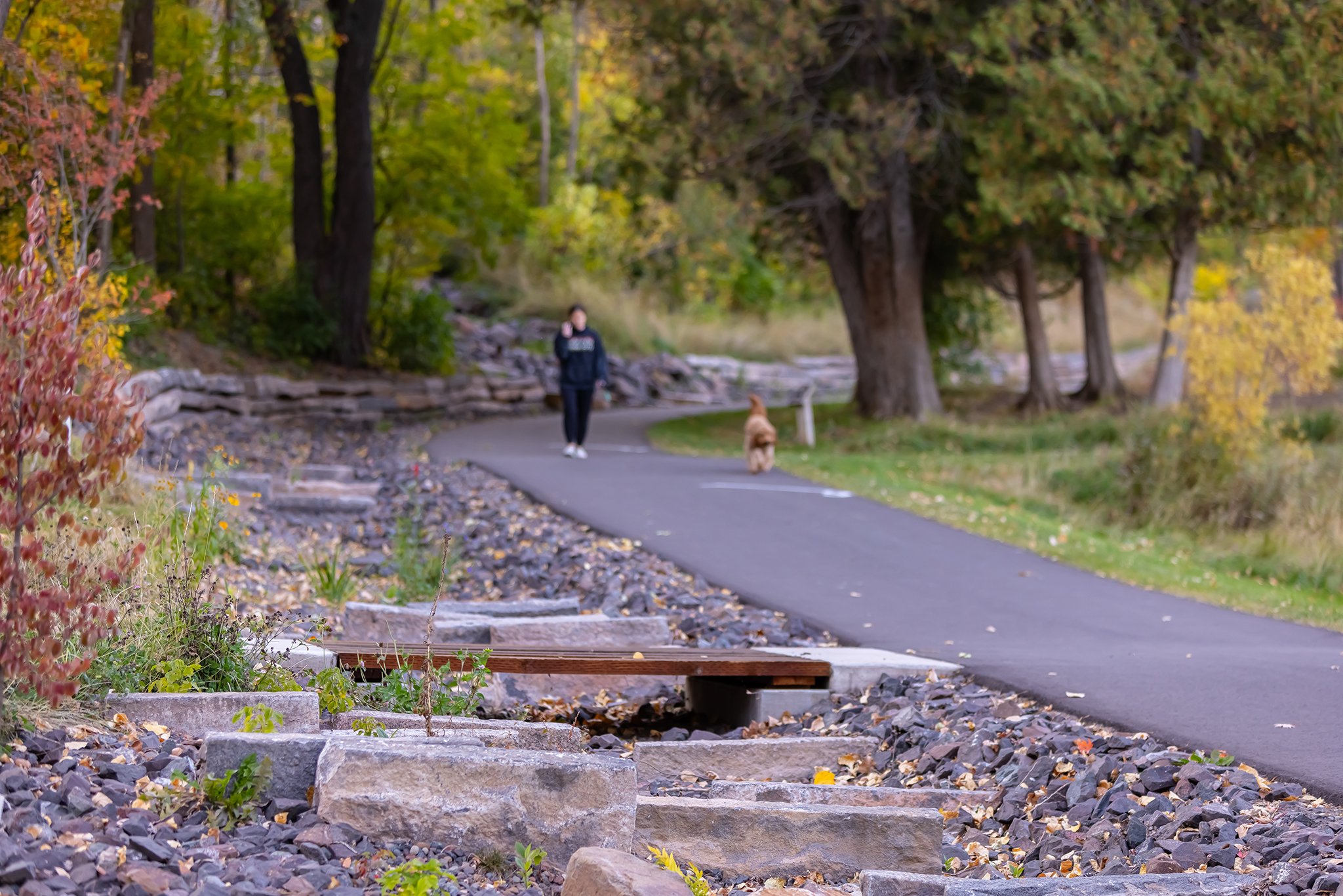 General Design_Lincoln Park_IMG_HR_Stormwater.jpg