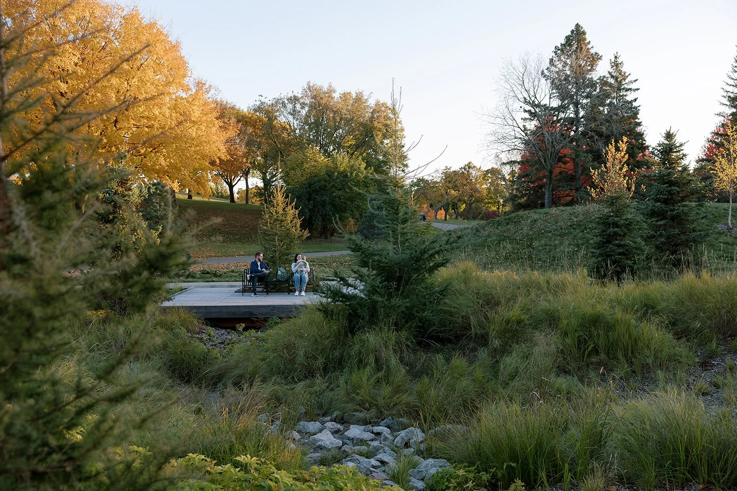General Design_Lakewood Welcome Gardens_IMG_IN_WELCOME.jpg