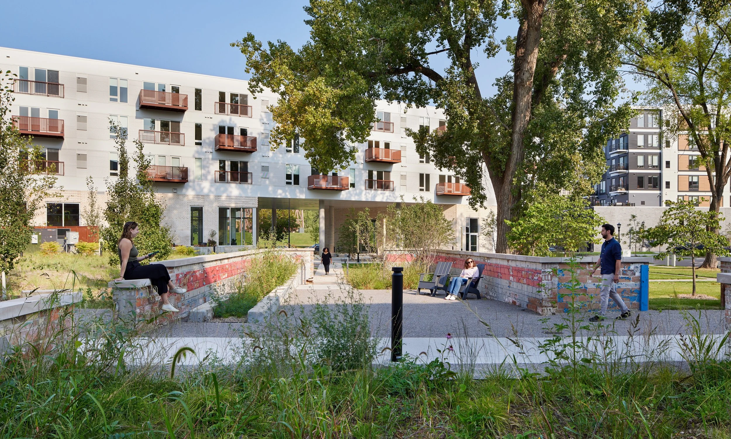 General Design_Farwell Yards_IMG_IN_MEADOW PLANTING.jpg