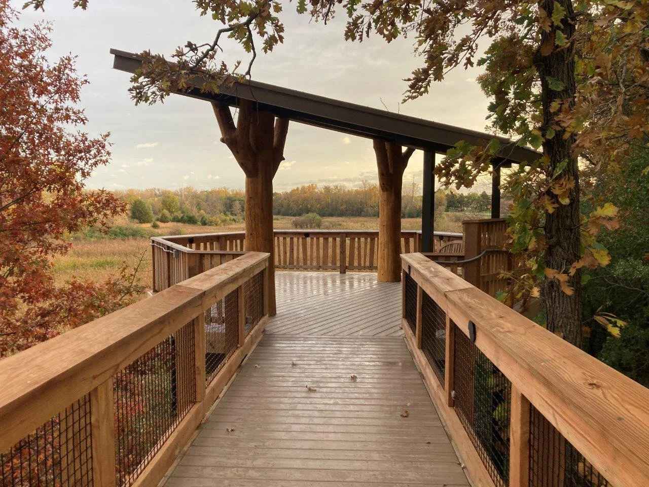 General-Design_Mississippi-Gateway-Regional-Park_IMG_IN_Treehouse.jpg