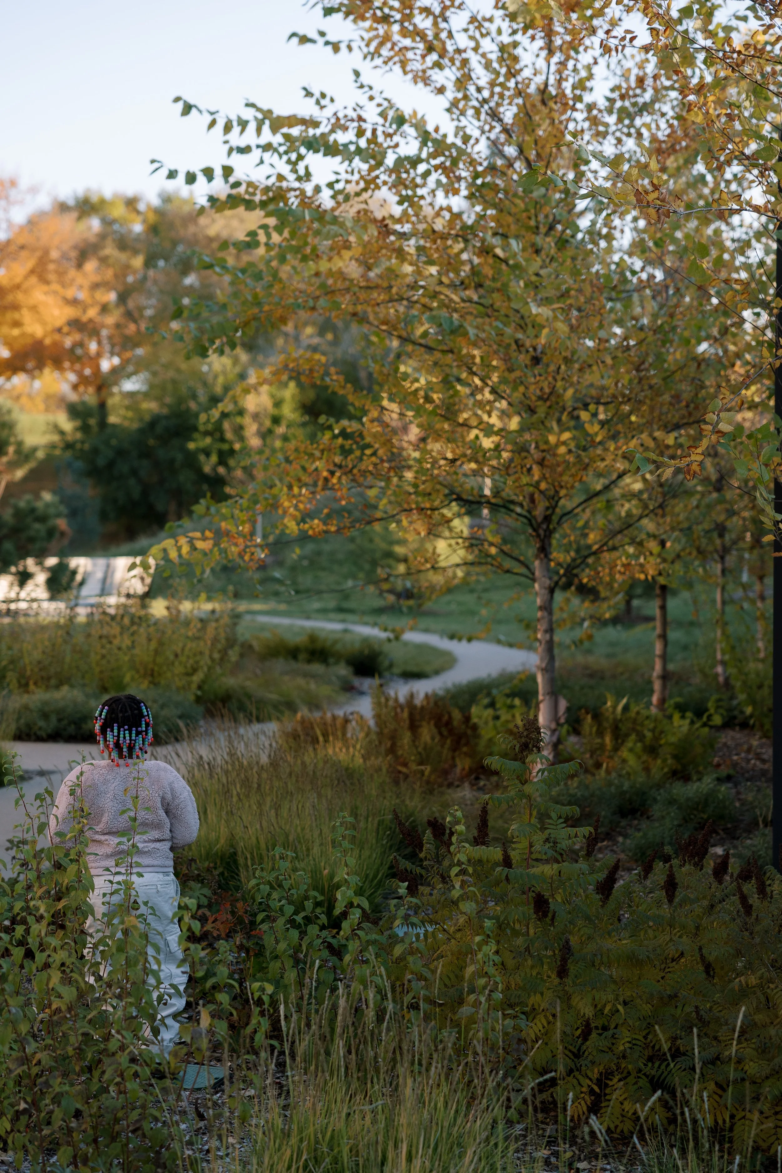 General Design_Lakewood Welcome Gardens_IMG_IN_INVITATIONS.jpg