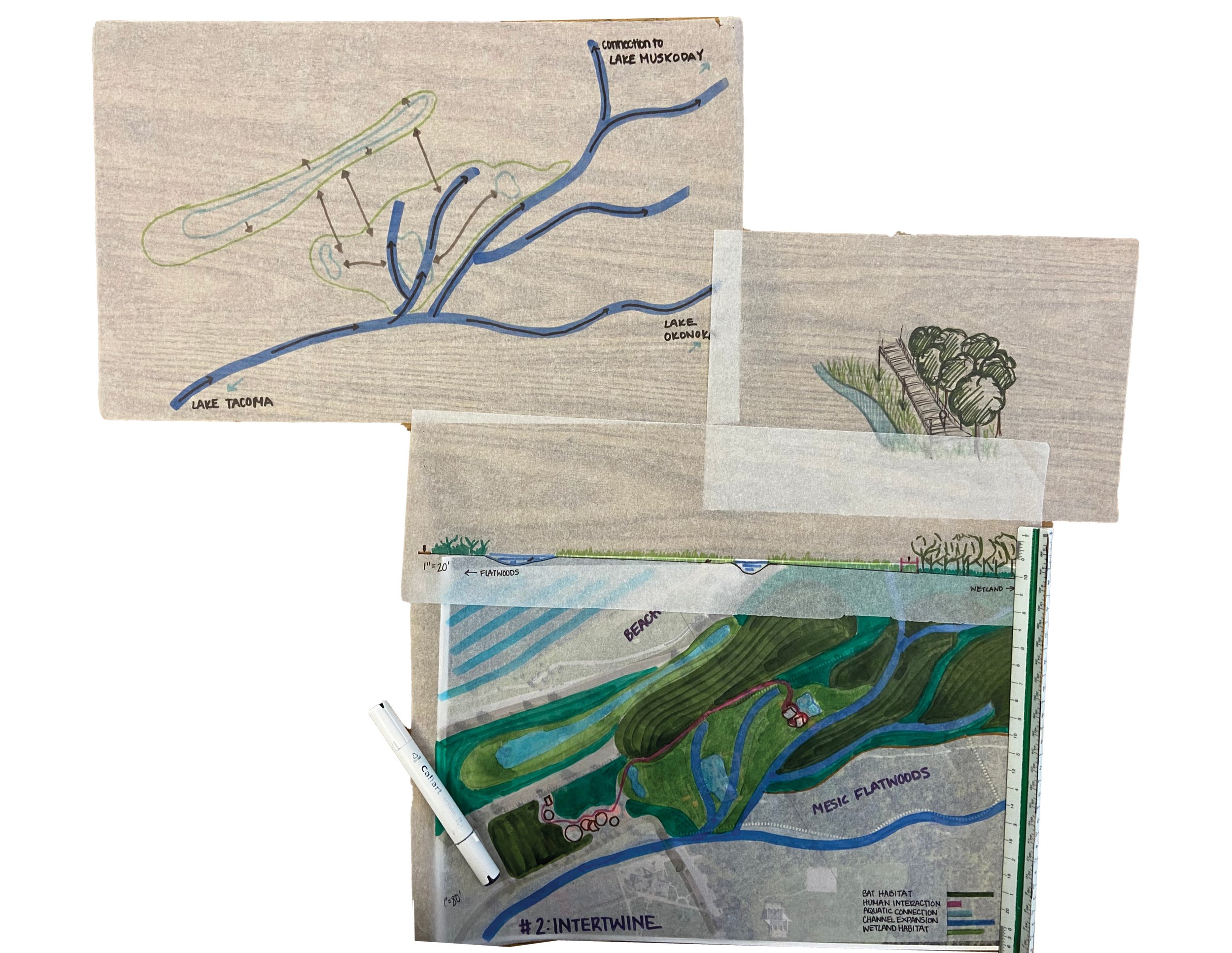 Student Award_Consequential Habitat_IMG_PR_Iteration.jpg