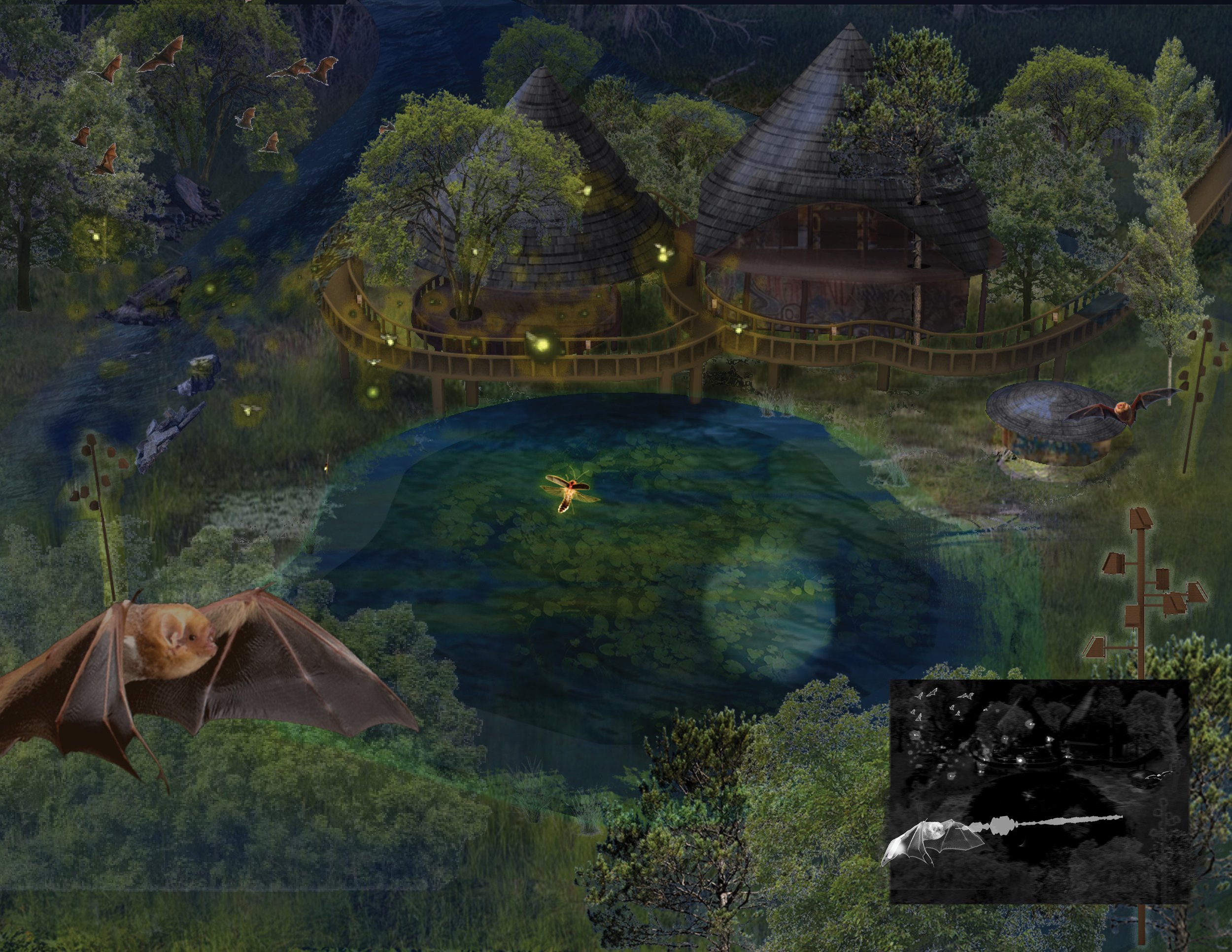 Student Award_Consequential Habitat_IMG_HR_Bats.jpg