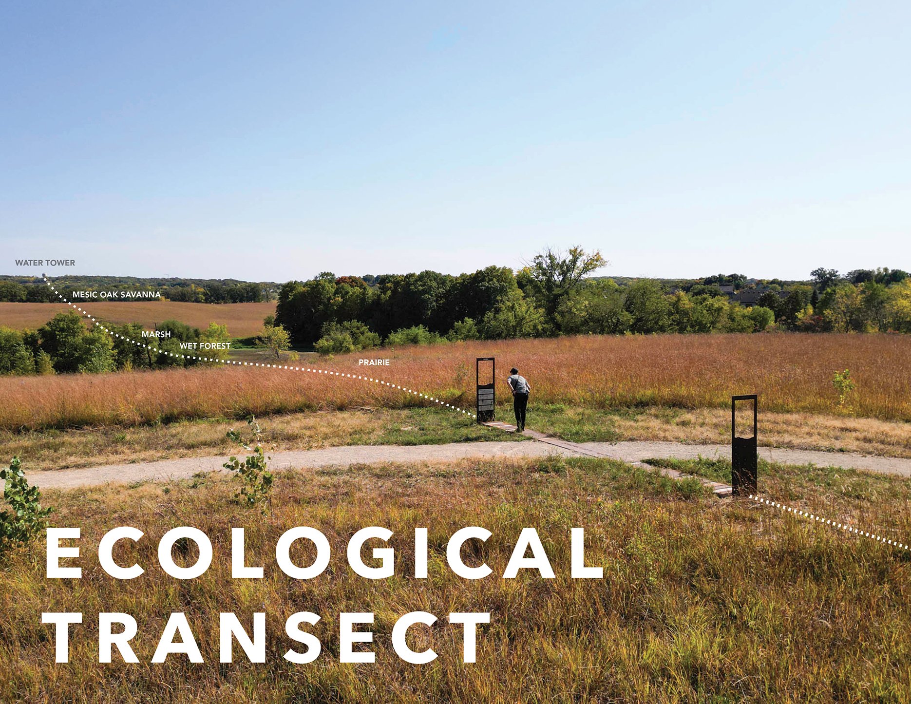 Small Budget Big Impact_Six Mile Marsh Prairie Trail_IMG_HR_Ecological Transect.jpg
