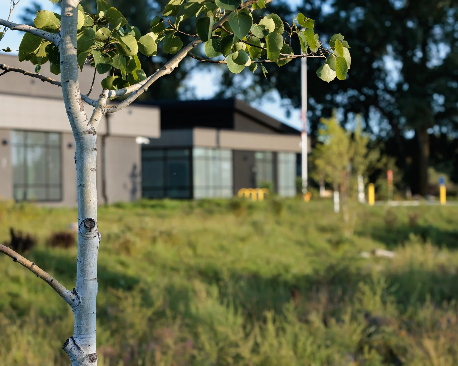 Ecological Design_RamseyCountyEnvironmentalCenter_IN_06.jpg