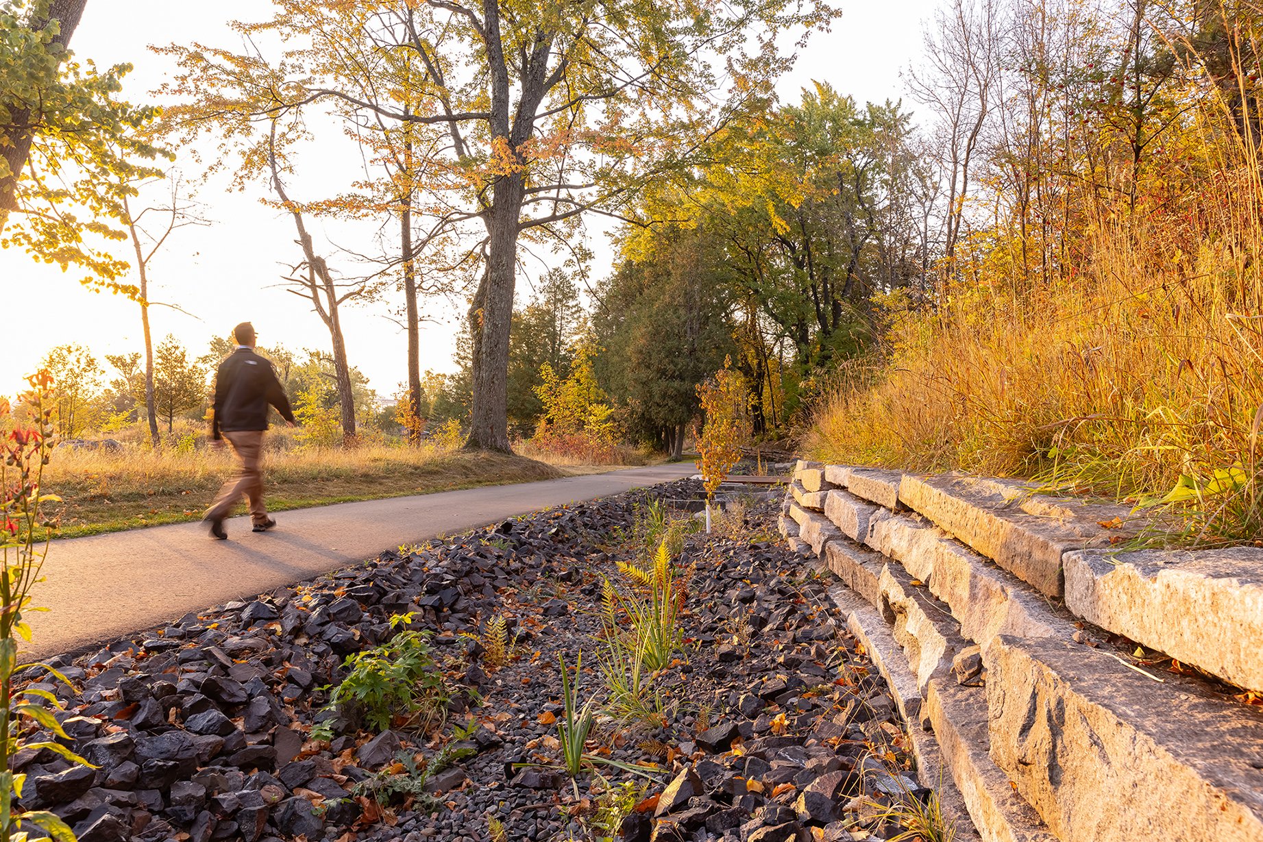 General Design_Lincoln Park_IMG_HR_Swale.jpg