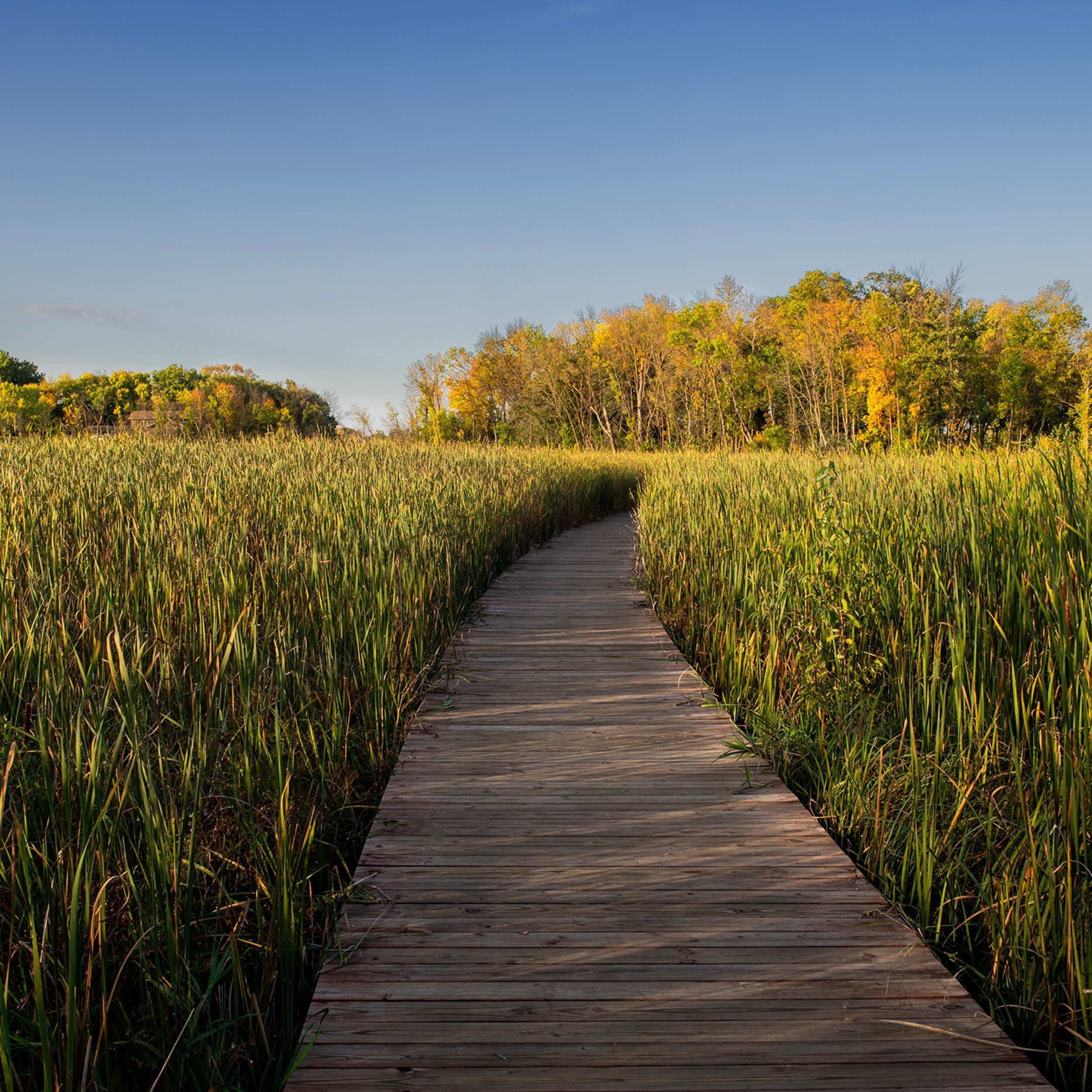 General Design_Wassermann Lake Preserve_IMG_IN_Boardwalk.jpg