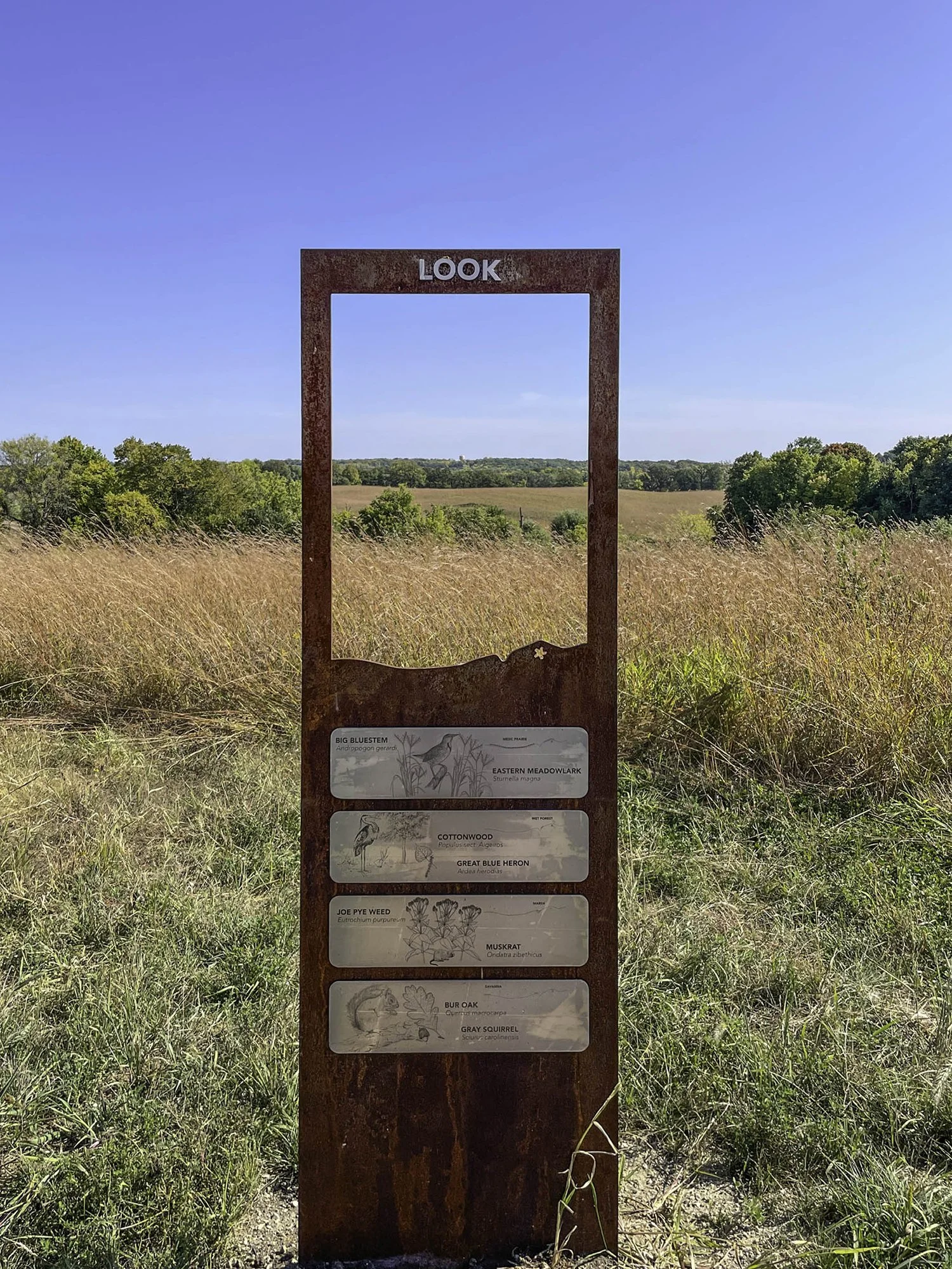 Small Budget Big Impact_Six Mile Marsh Prairie Trail_IMG_HR_Interpretive Viewing Sign.JPG