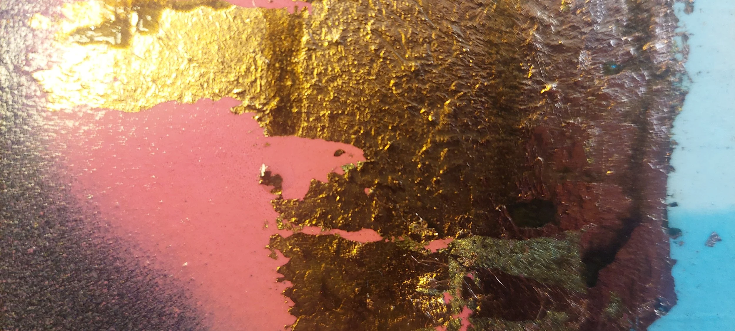 20231016_164826.jpg