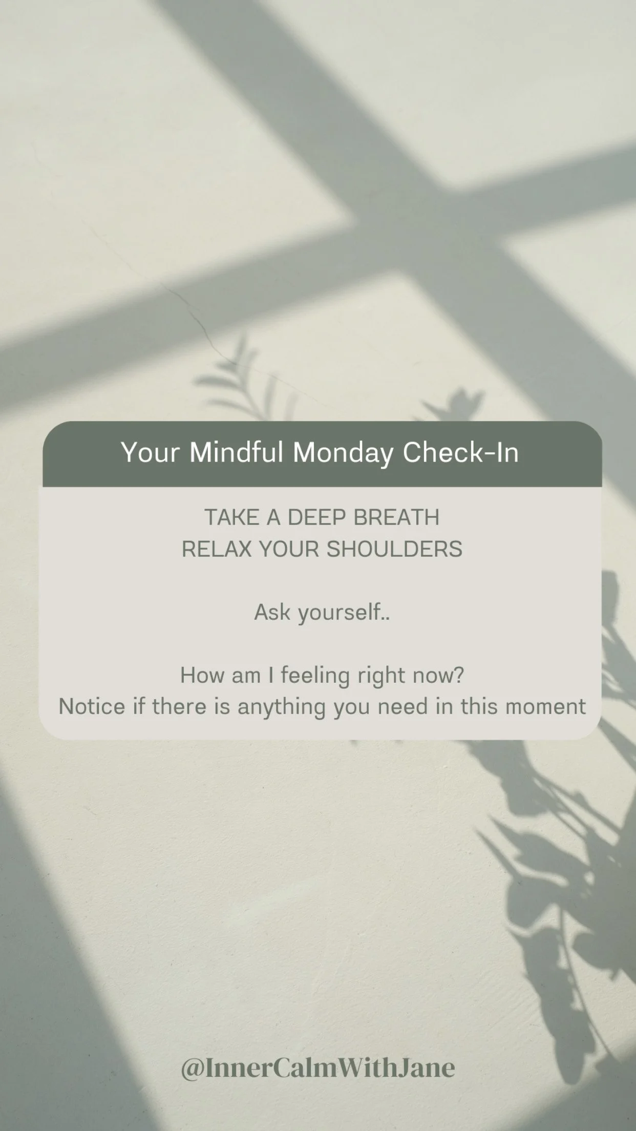 YOUR MINDFUL CHECK-IN 
