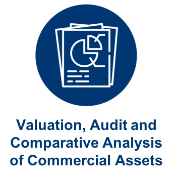 Valuation, Audit and Comparative Analysis of Commercial Assets