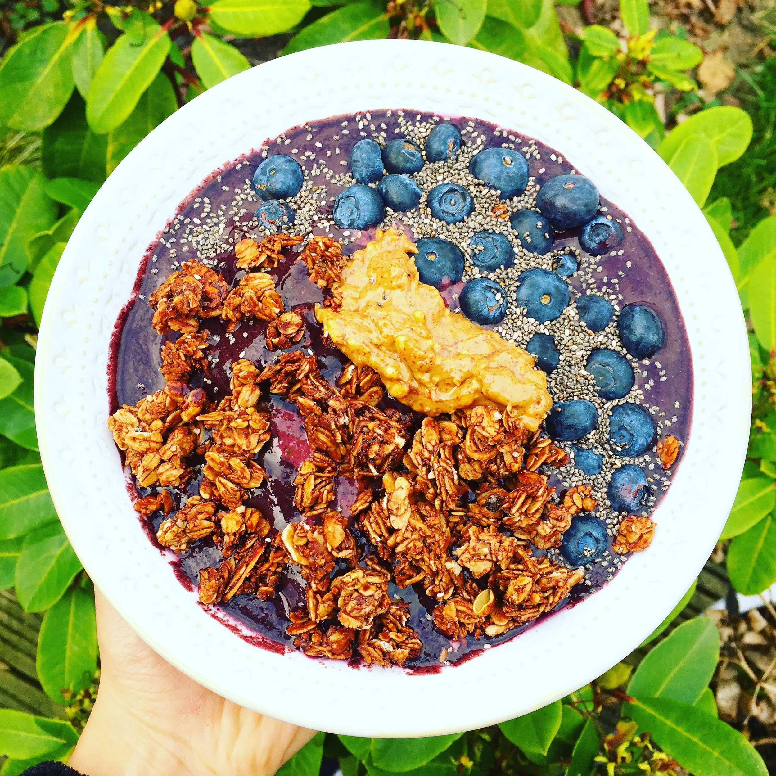 Jade Ellis Nutrition